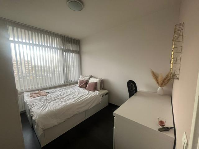 show all photos of Heemraadweg