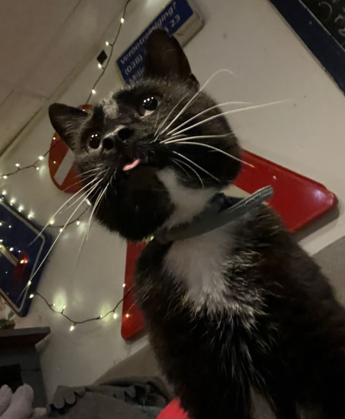 show all photos of Witbreuksweg