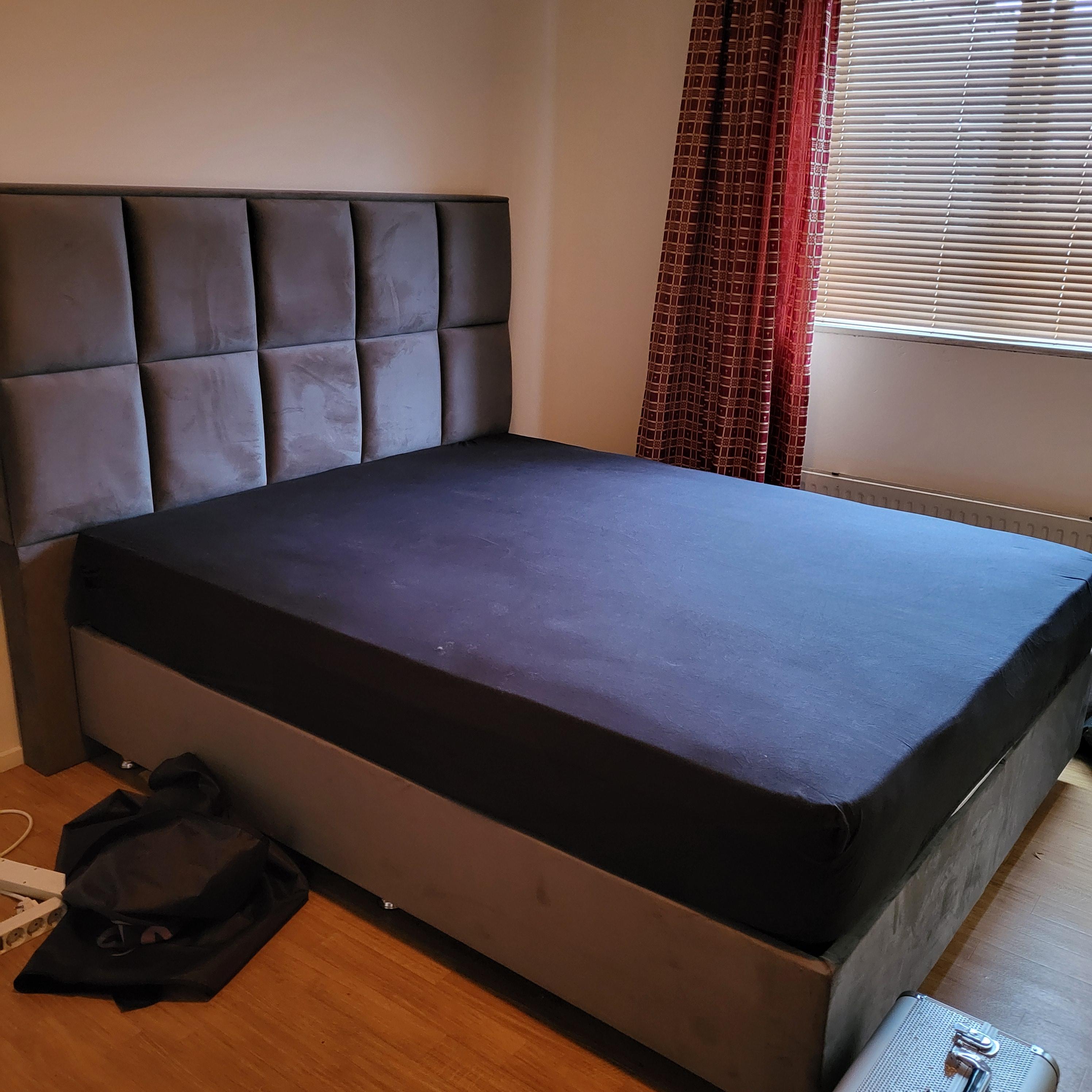 show all photos of Van Hallstraat