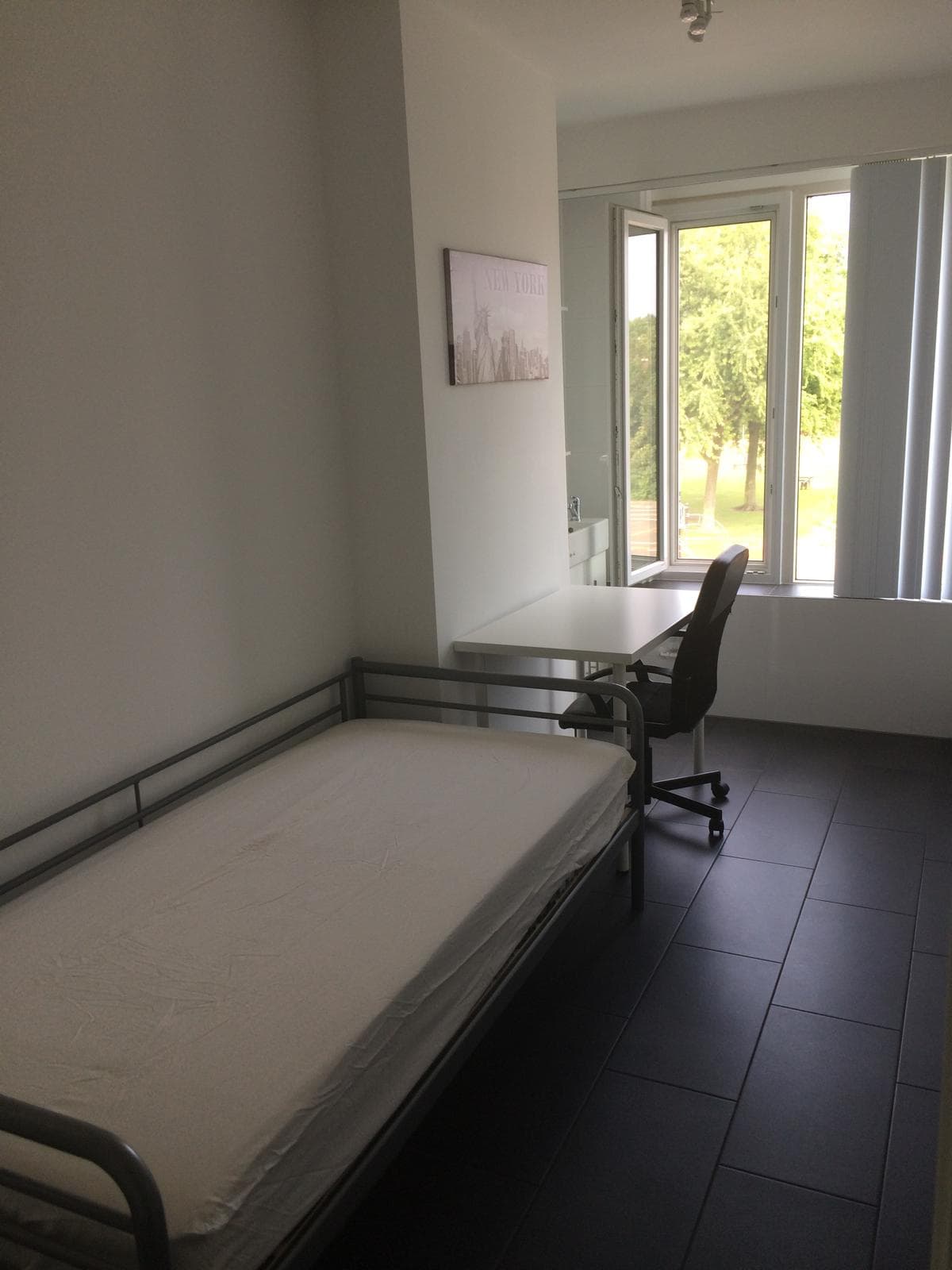 show all photos of Socratesstraat