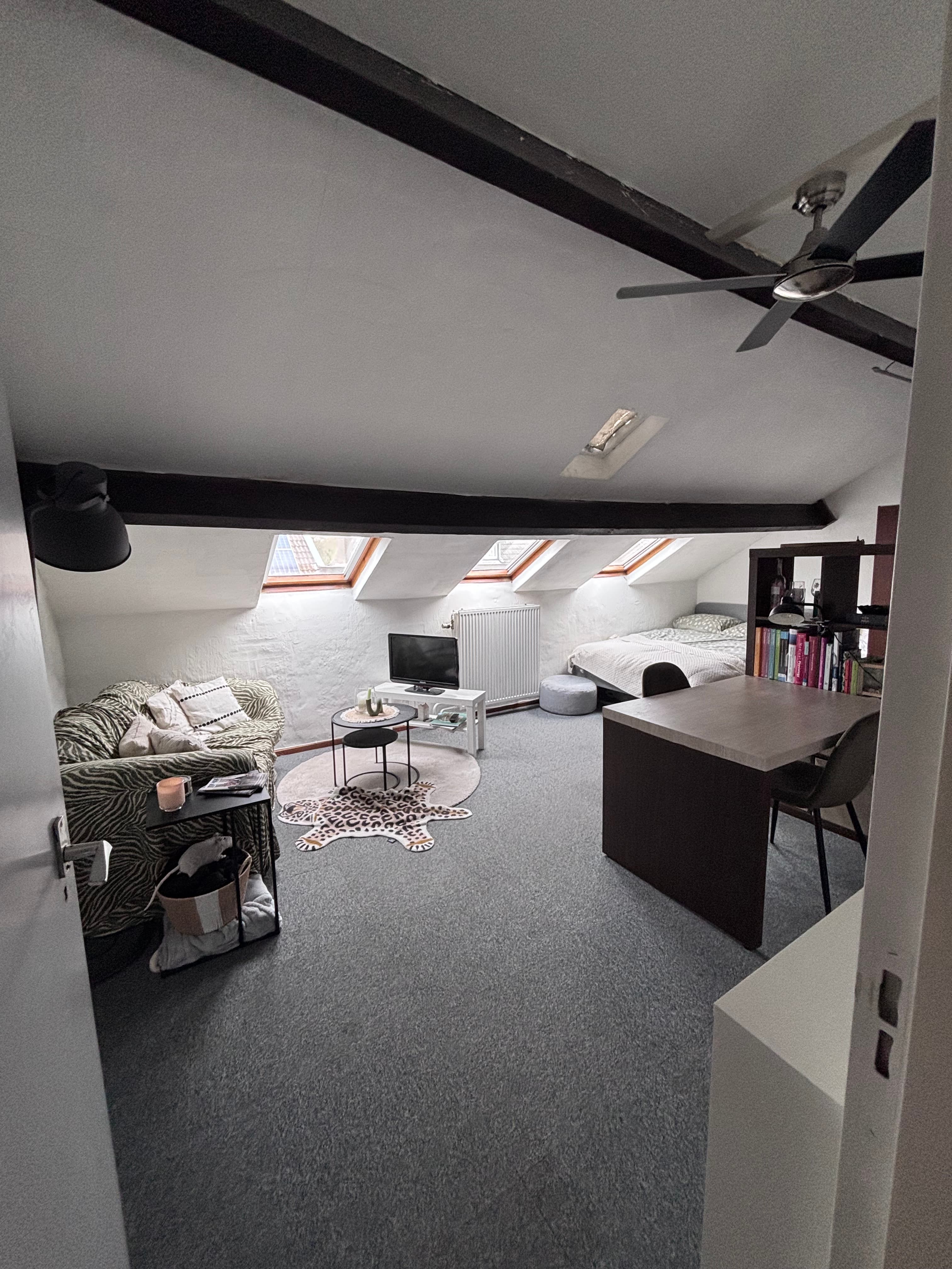 show all photos of Ambyerstraat Zuid