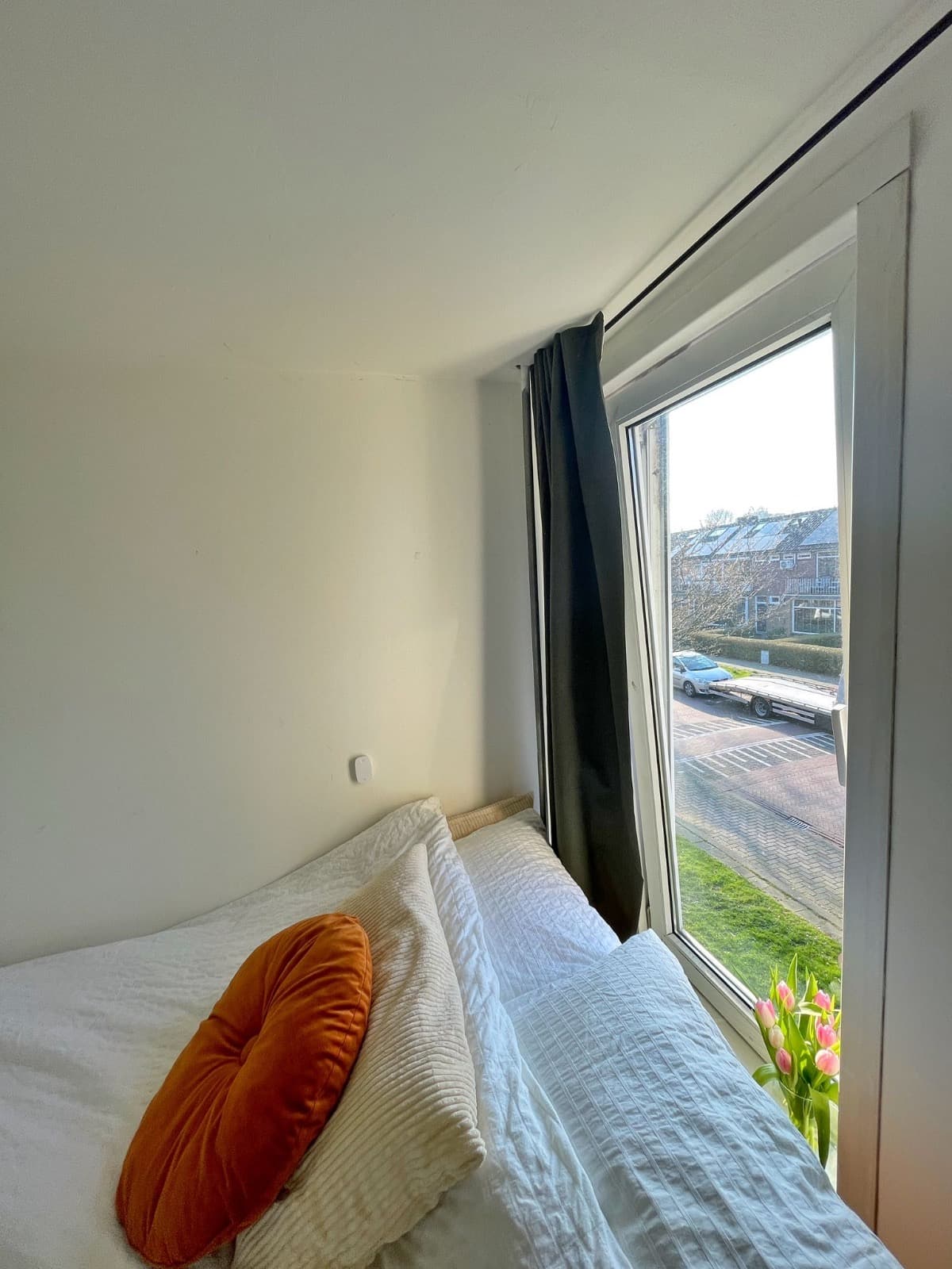 show all photos of Ranonkelstraat