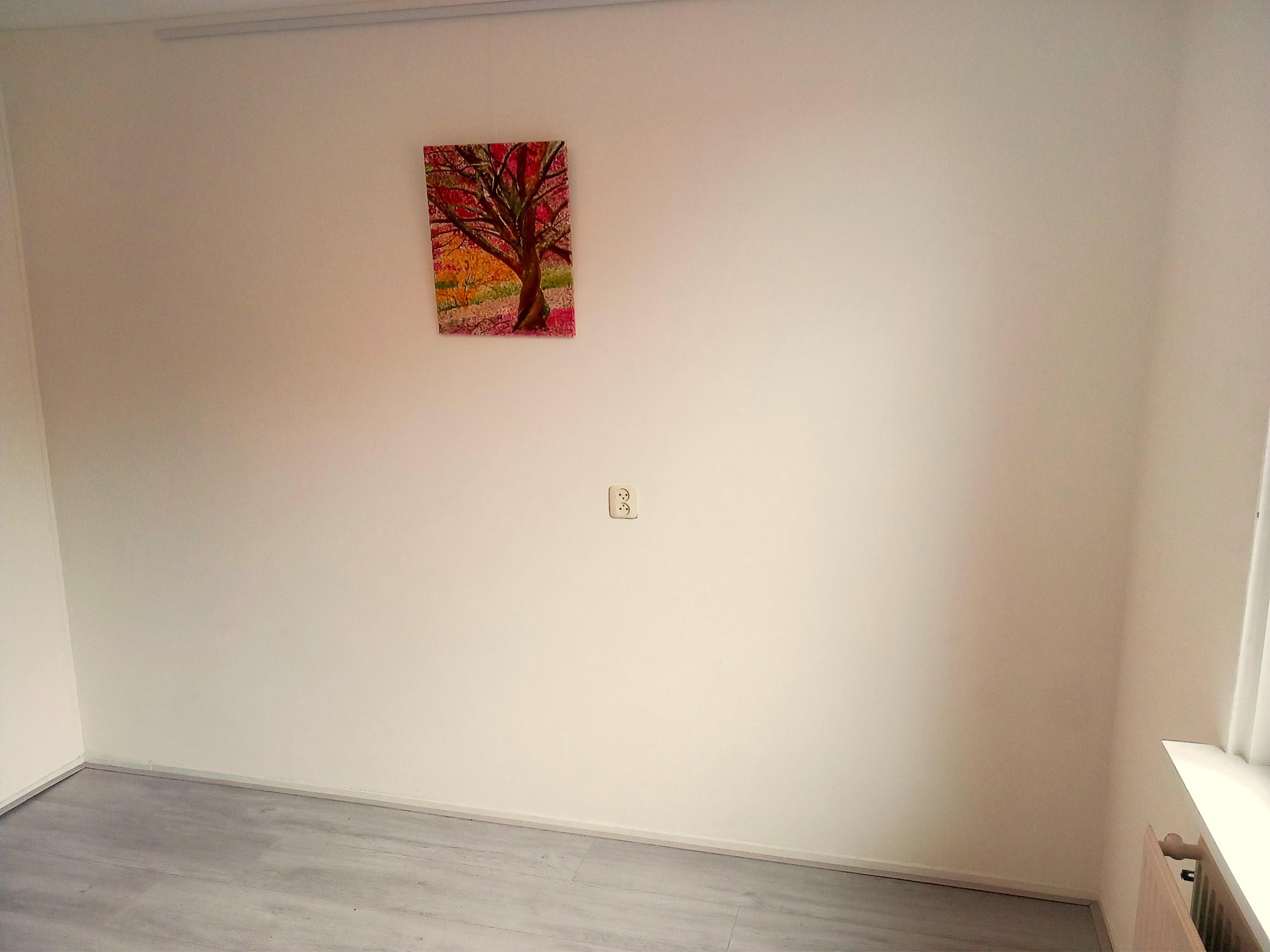 show all photos of Beemster