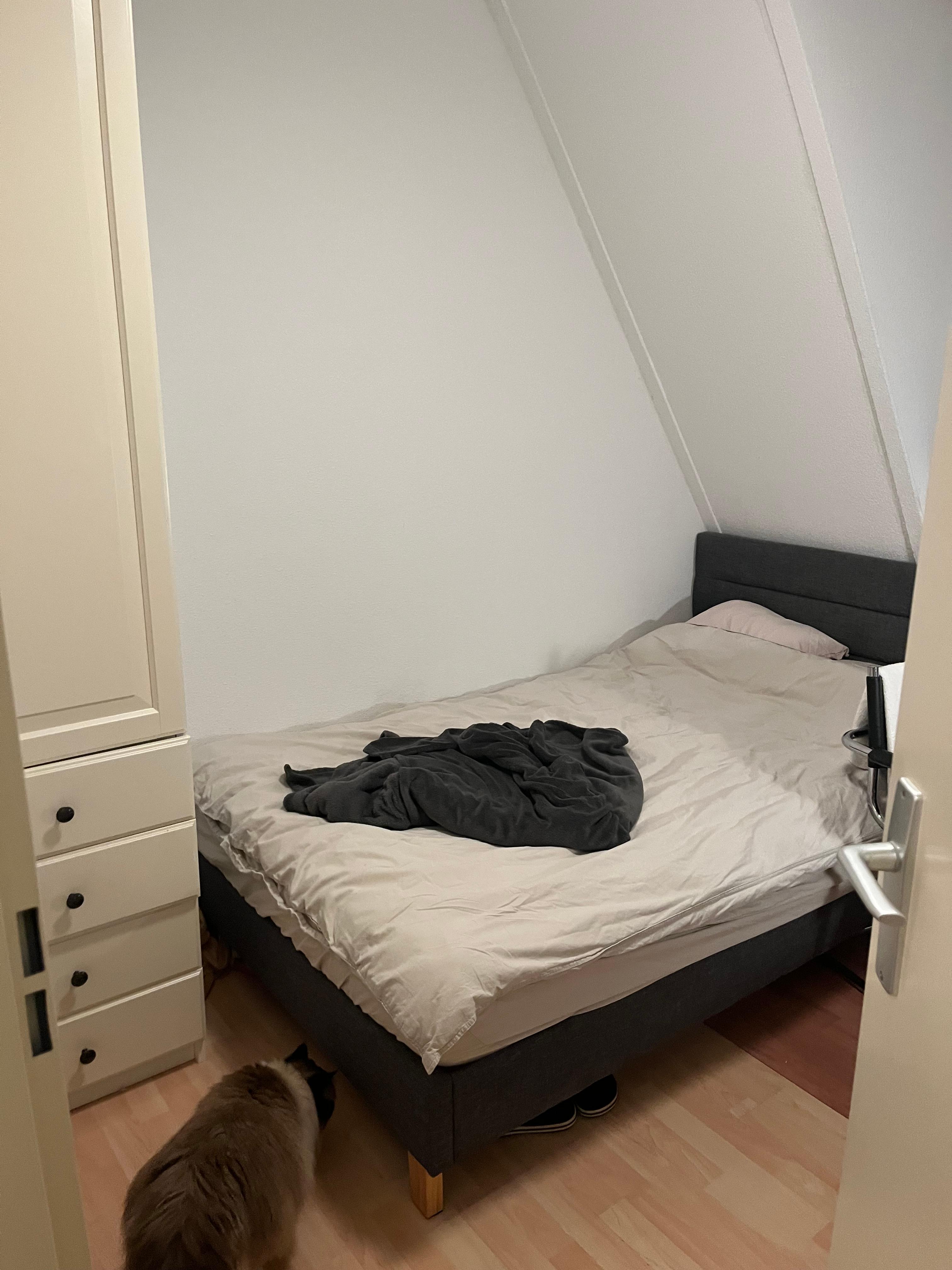 show all photos of Langegeer