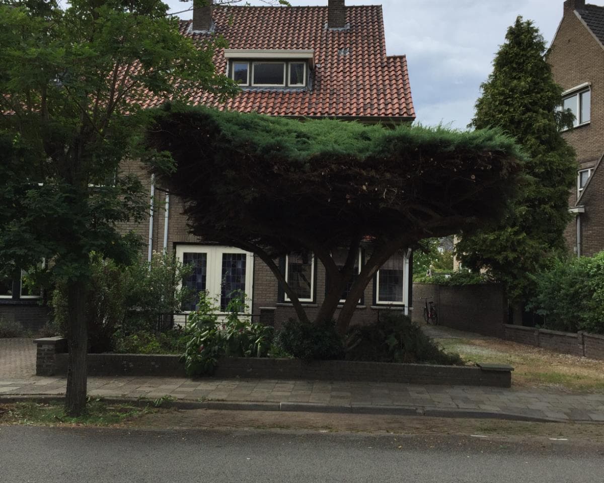 show all photos of Bernhardlaan