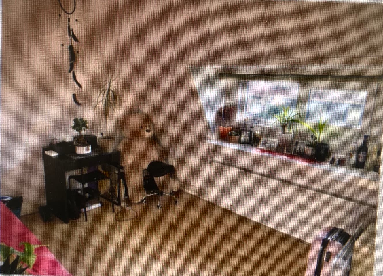 show all photos of Goeverneurlaan