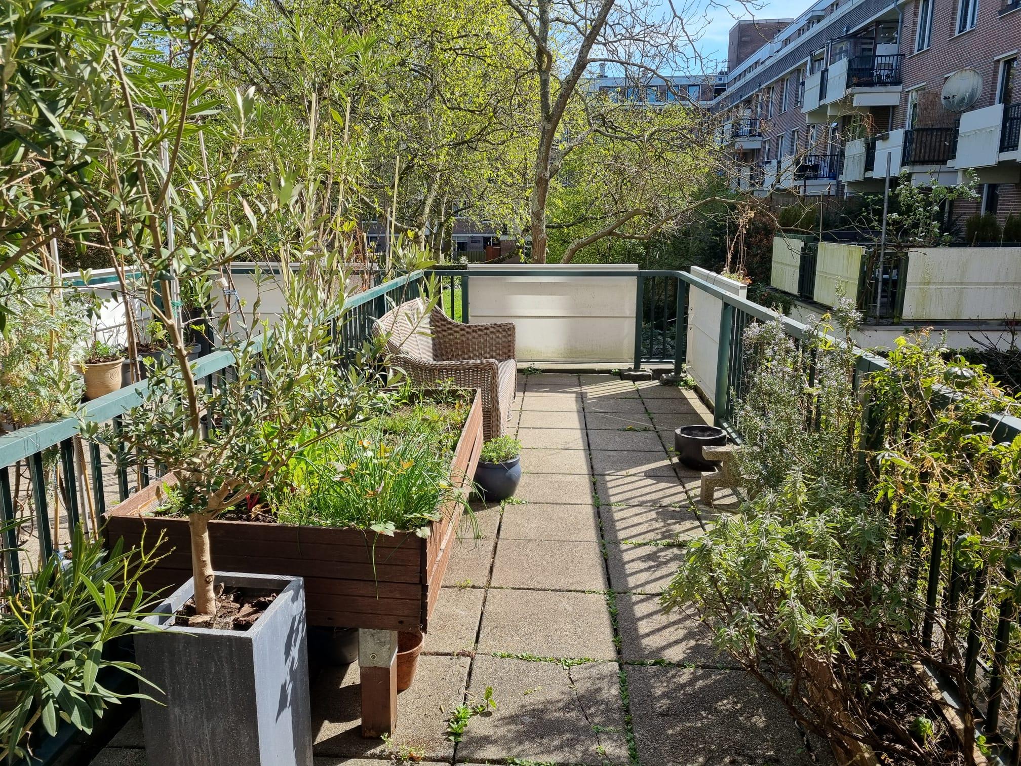 show all photos of Tidorestraat