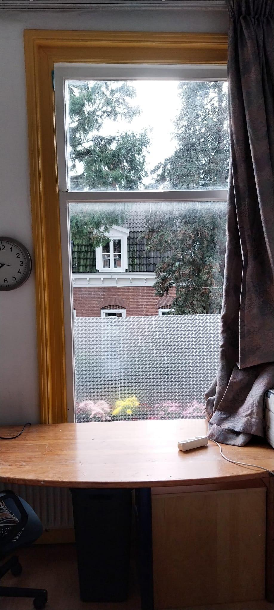 show all photos of Bekensteinselaan