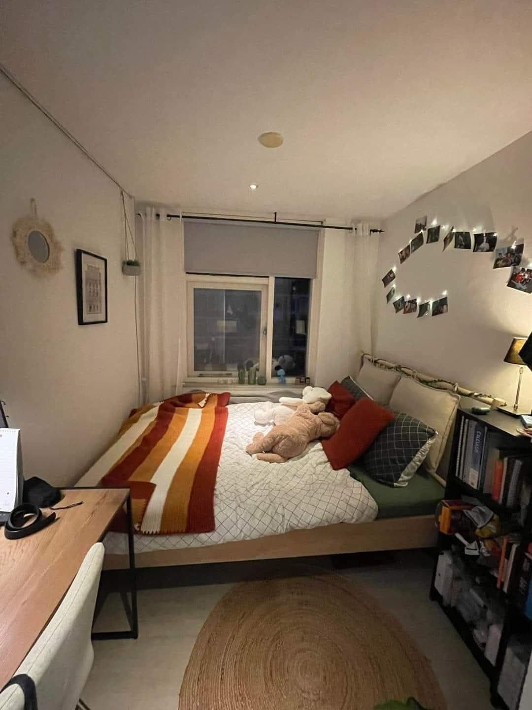 show all photos of Remuslaan