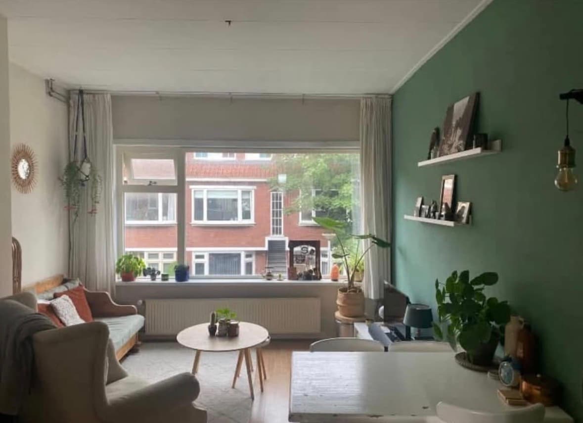 show all photos of Van Wassenaerstraat