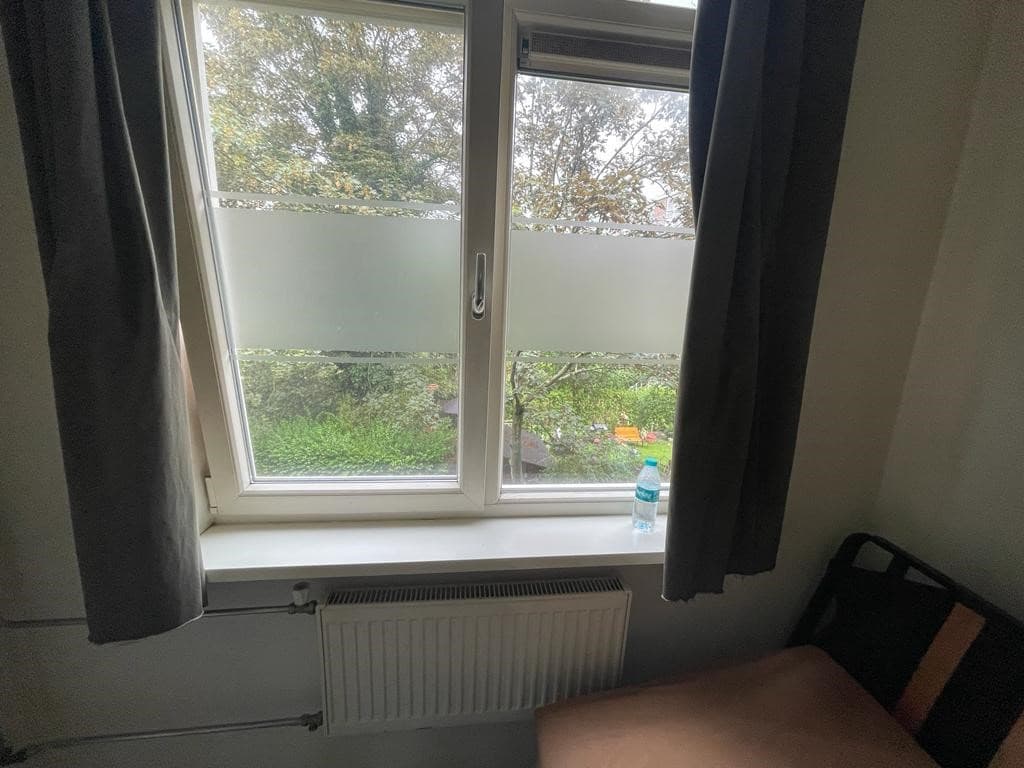 show all photos of Pinasplein