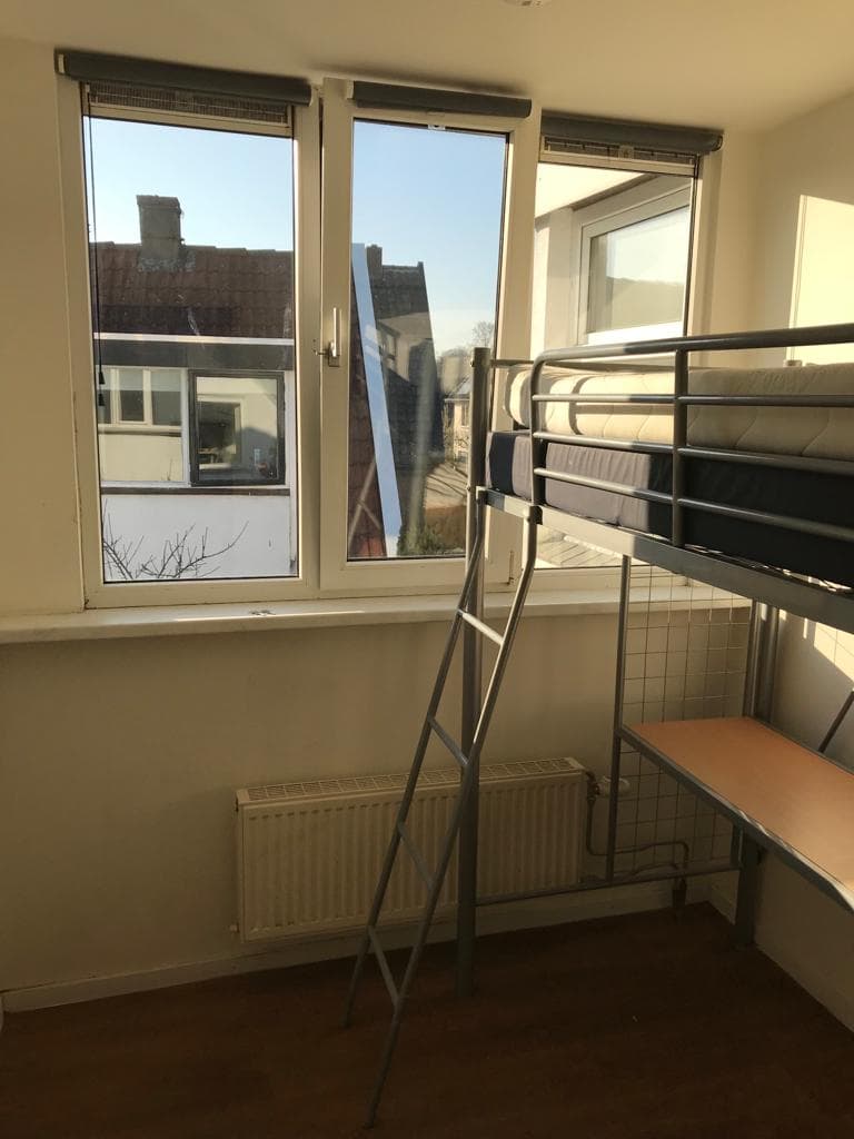 show all photos of Looierstraat