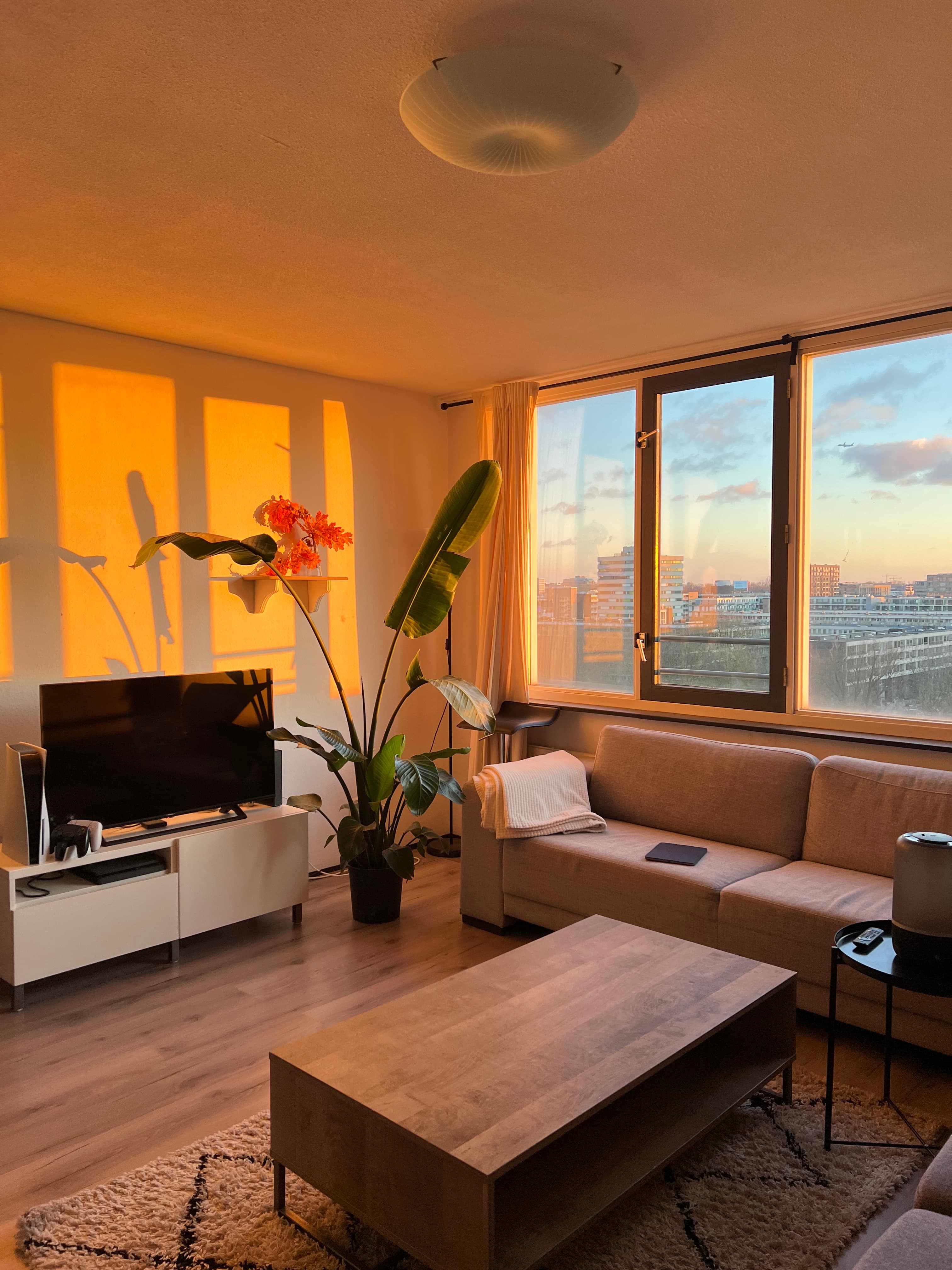 show all photos of Wittgensteinlaan