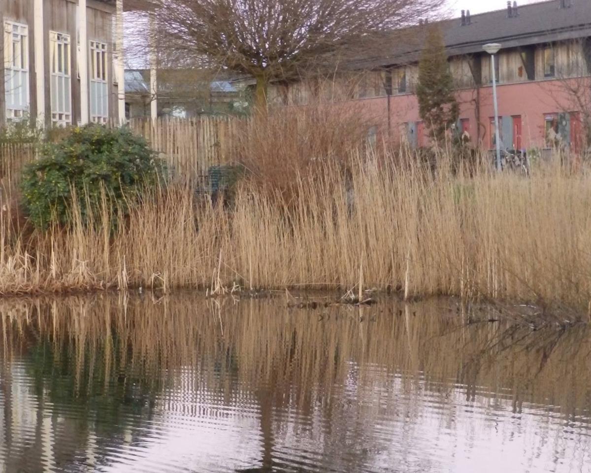 show all photos of Waterland