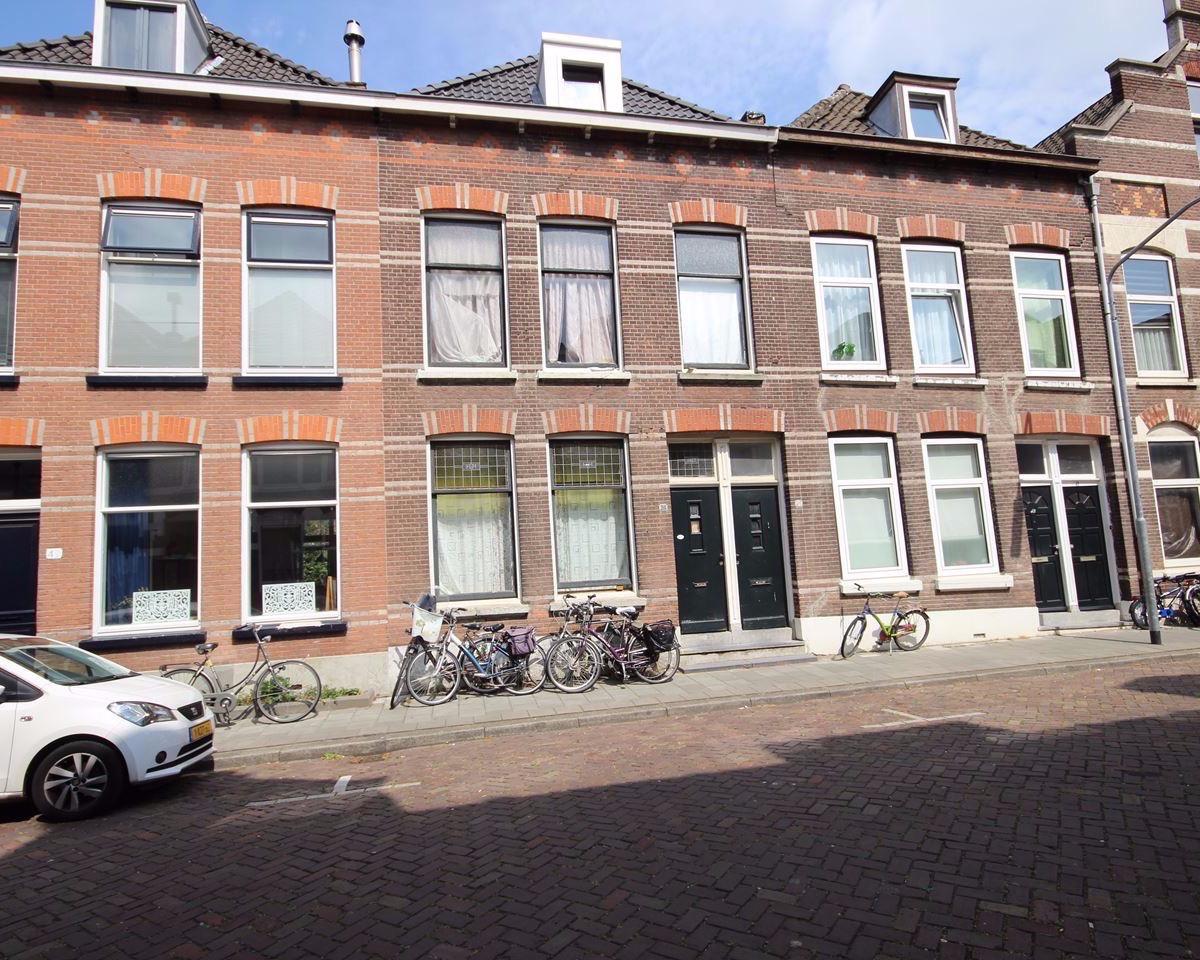 show all photos of Marthinus Steynstraat