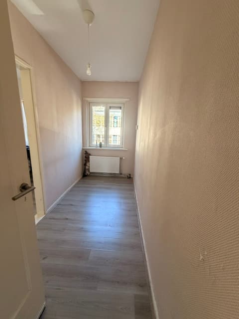 show all photos of Professor Enno Dirk Wiersmastraat