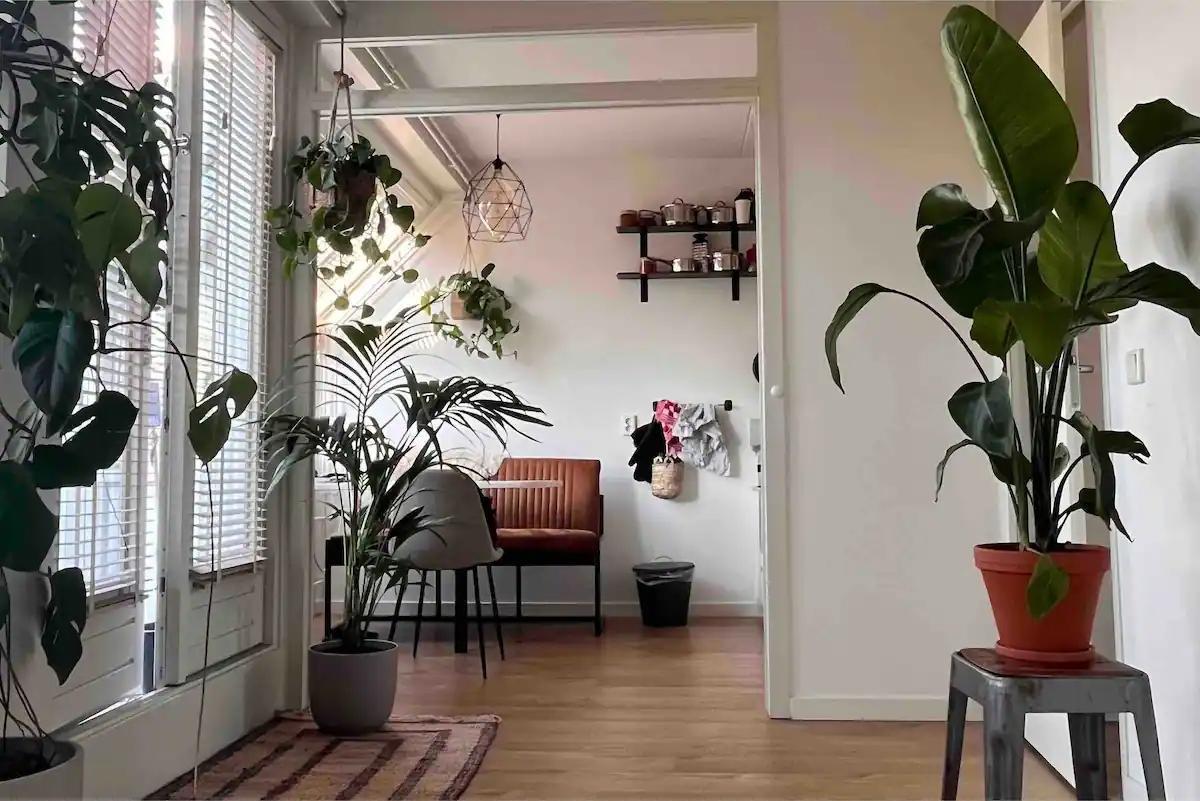 show all photos of Eerste Van Swindenstraat