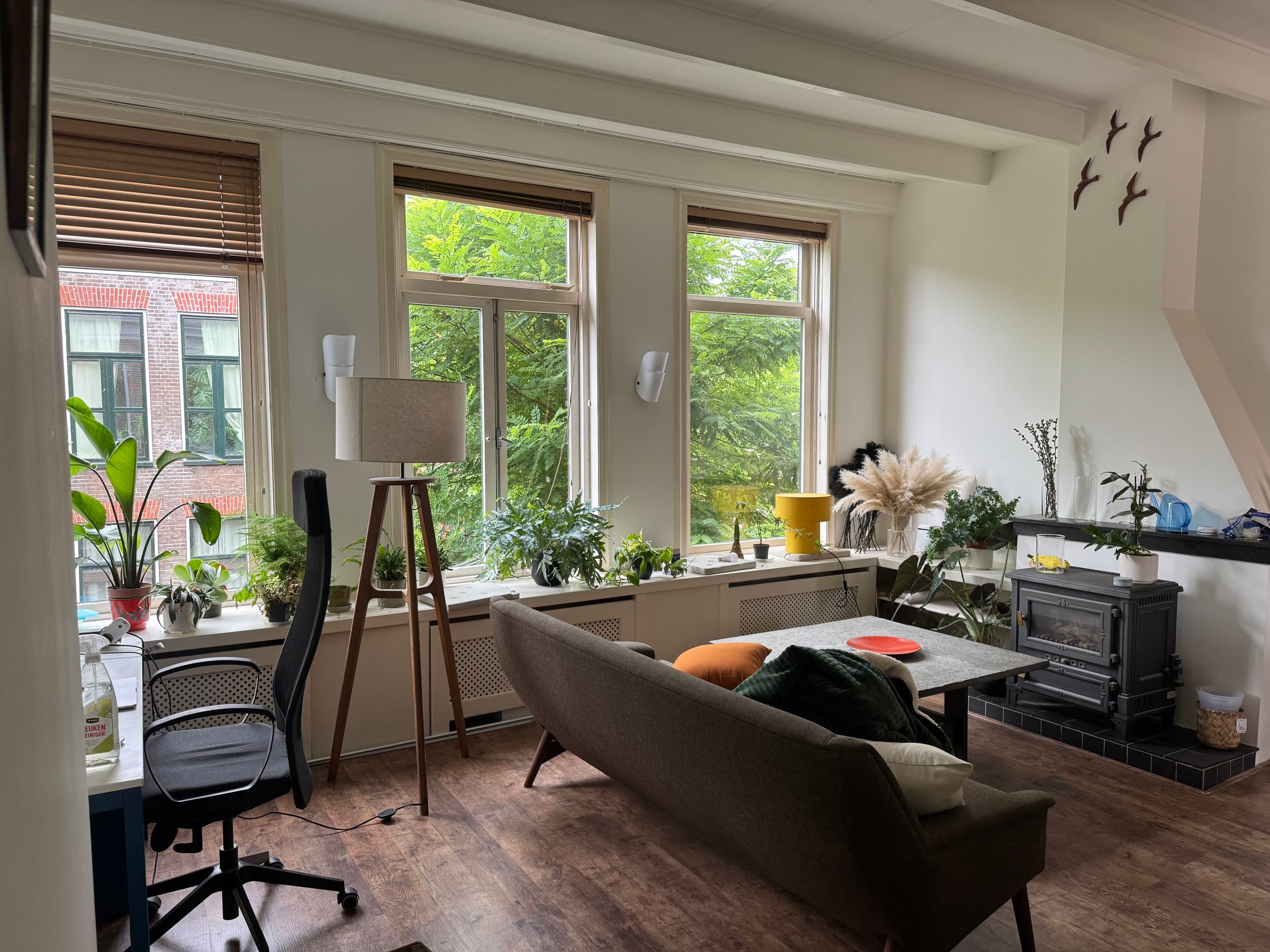show all photos of Tweede Hunzestraat