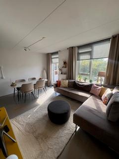 show all photos of Davidstraat