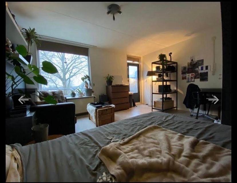 show all photos of Mariastraat