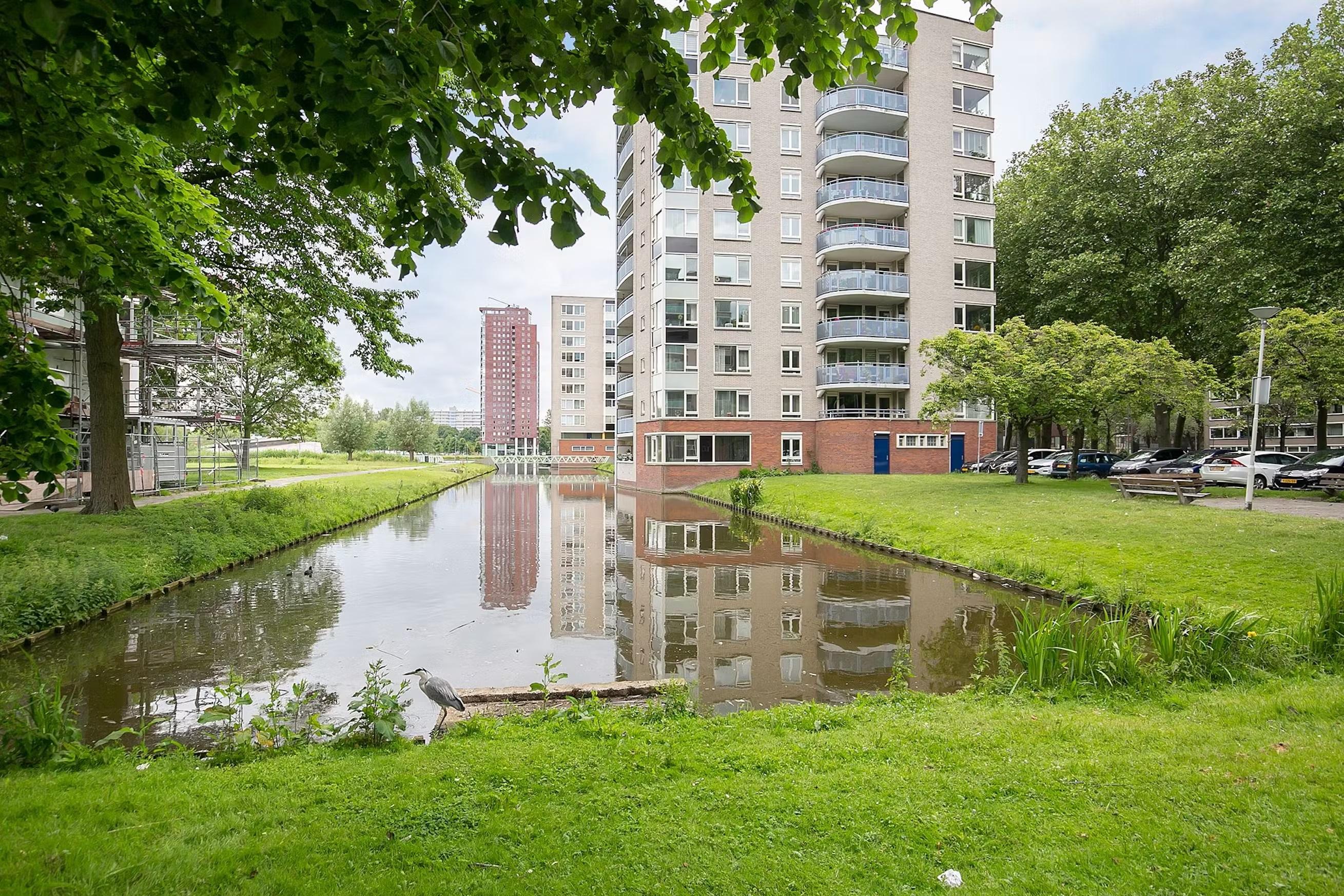 show all photos of Prinsenlaan