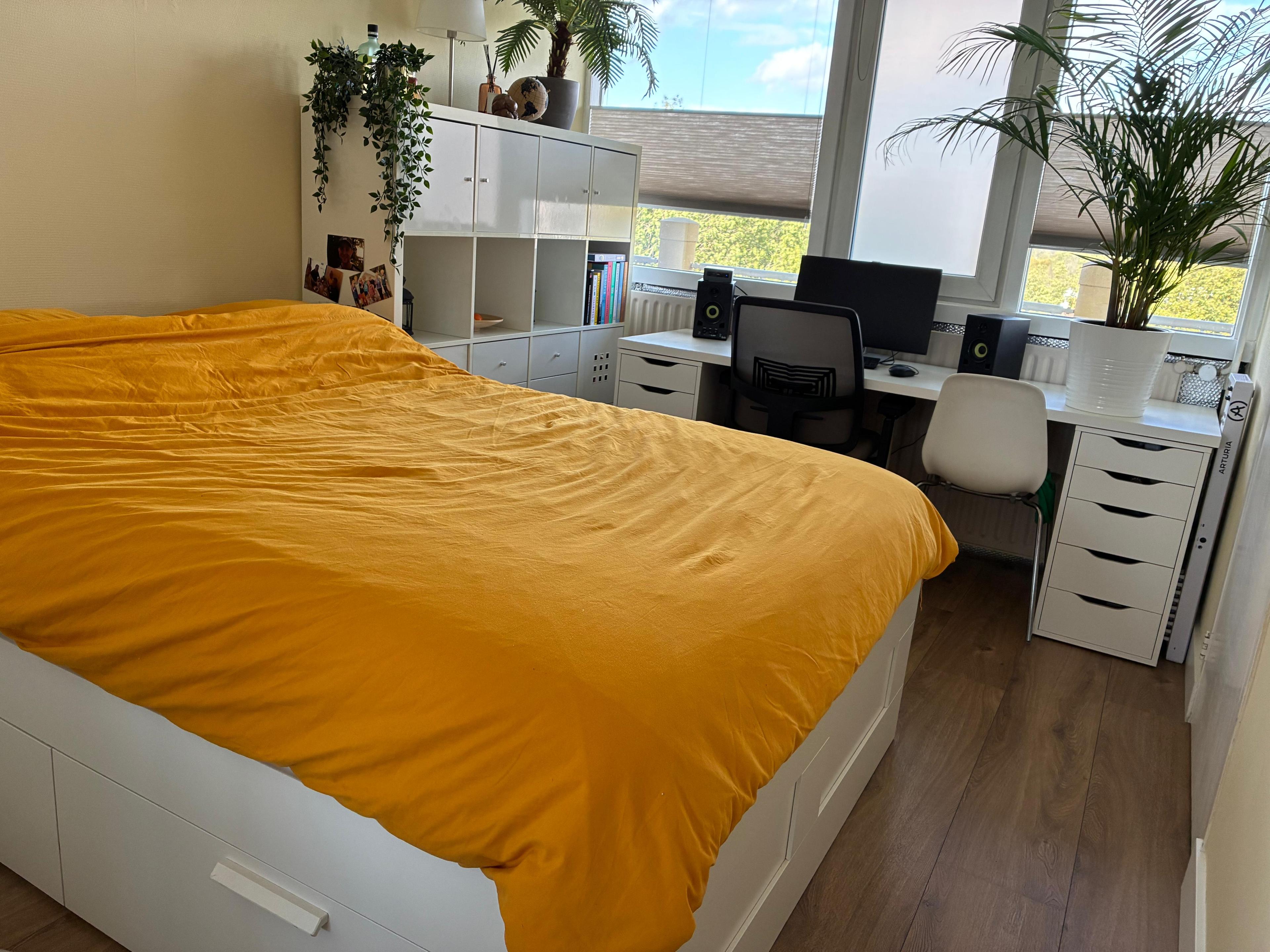 show all photos of Euterpedreef