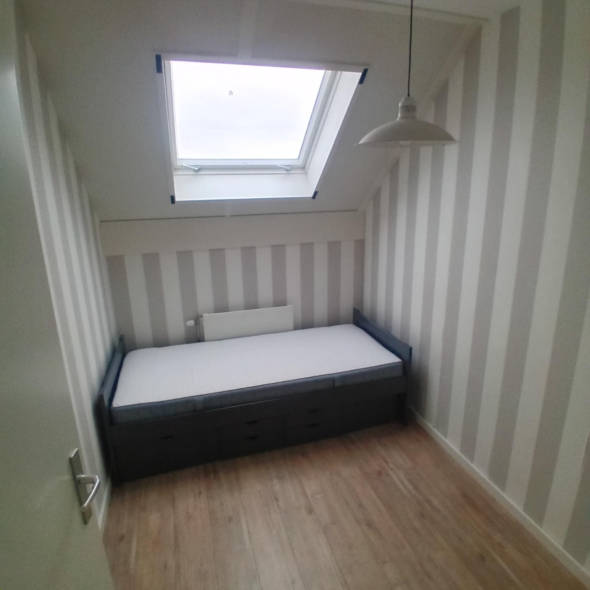 show all photos of Patrijs