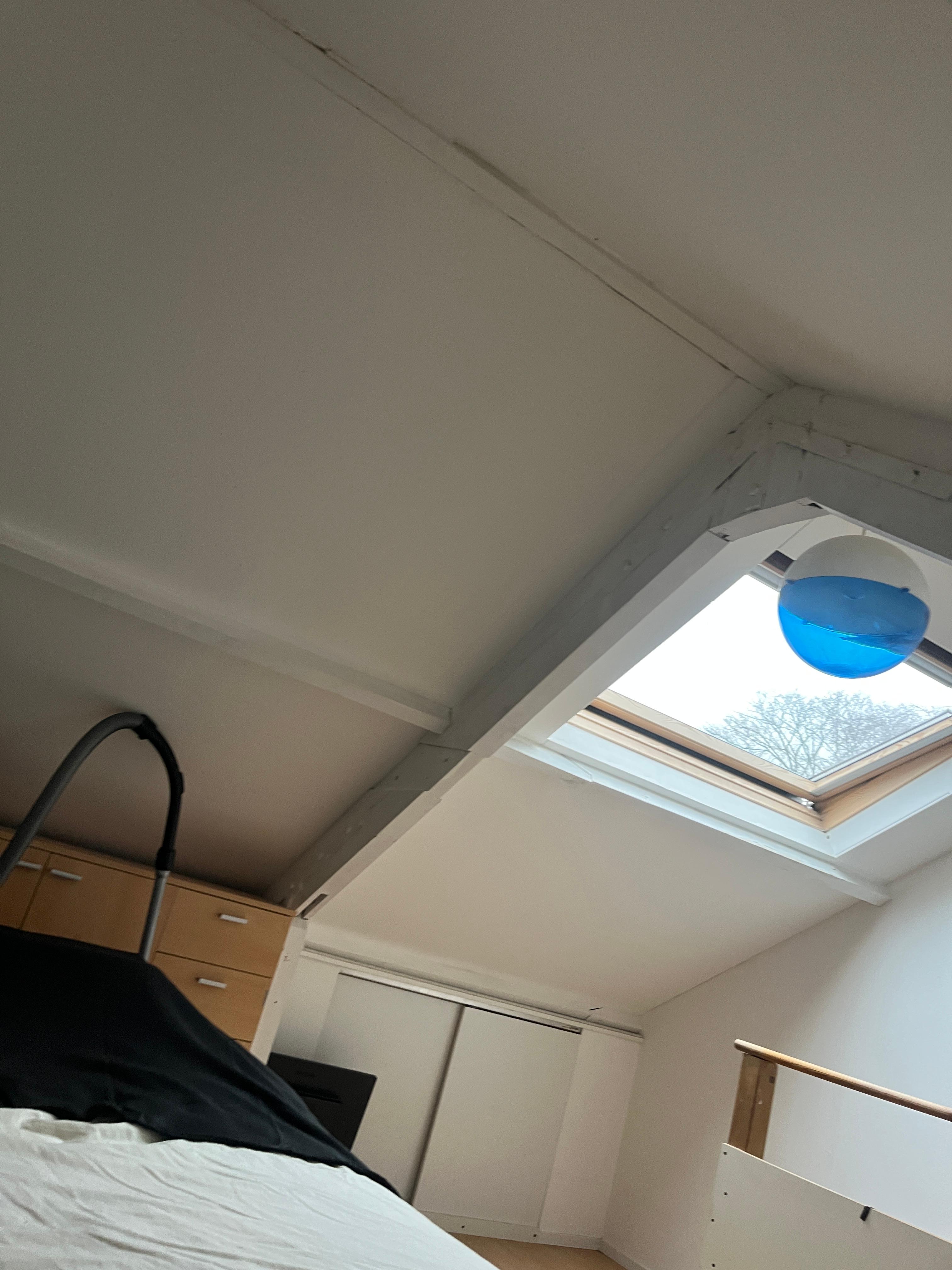 show all photos of Wilhelminapark