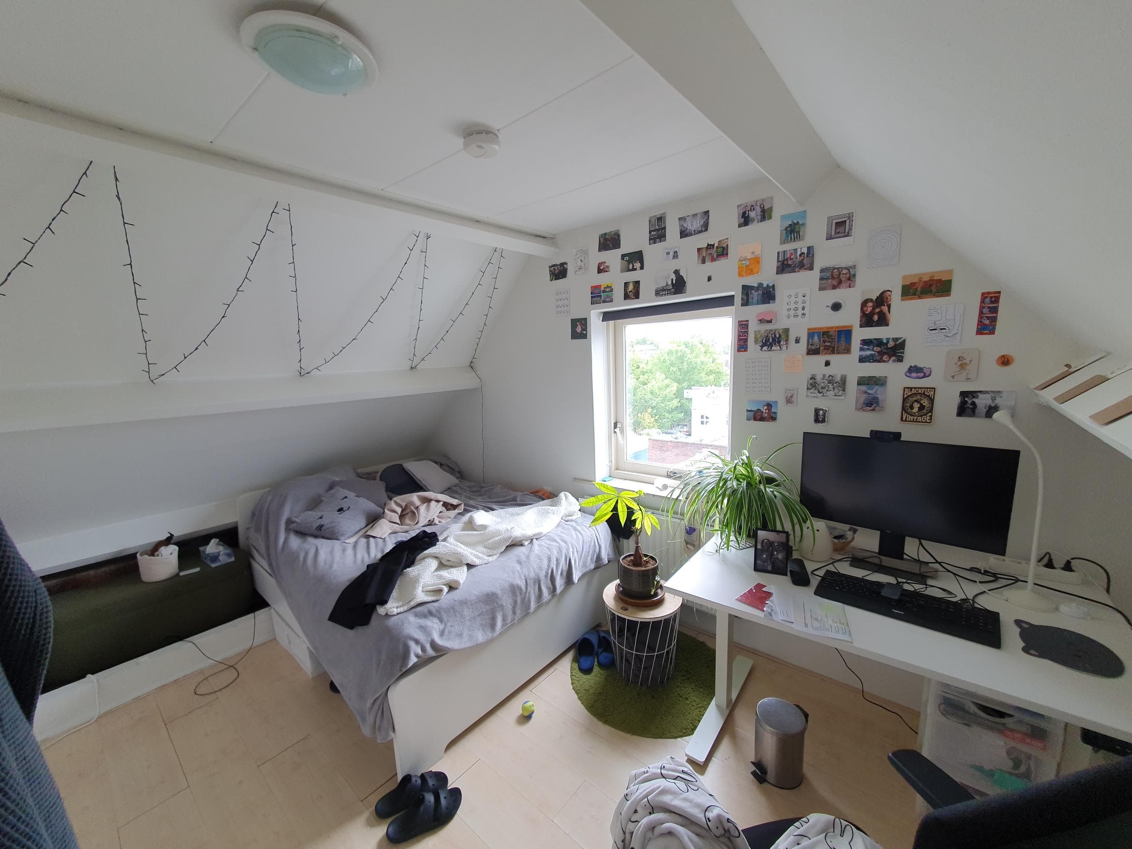 show all photos of Fuutweg