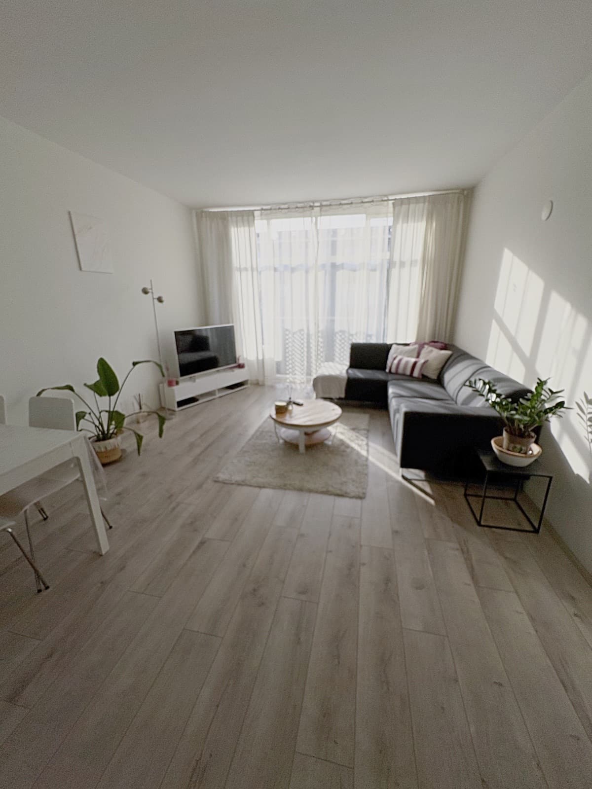 show all photos of Louise de Colignystraat