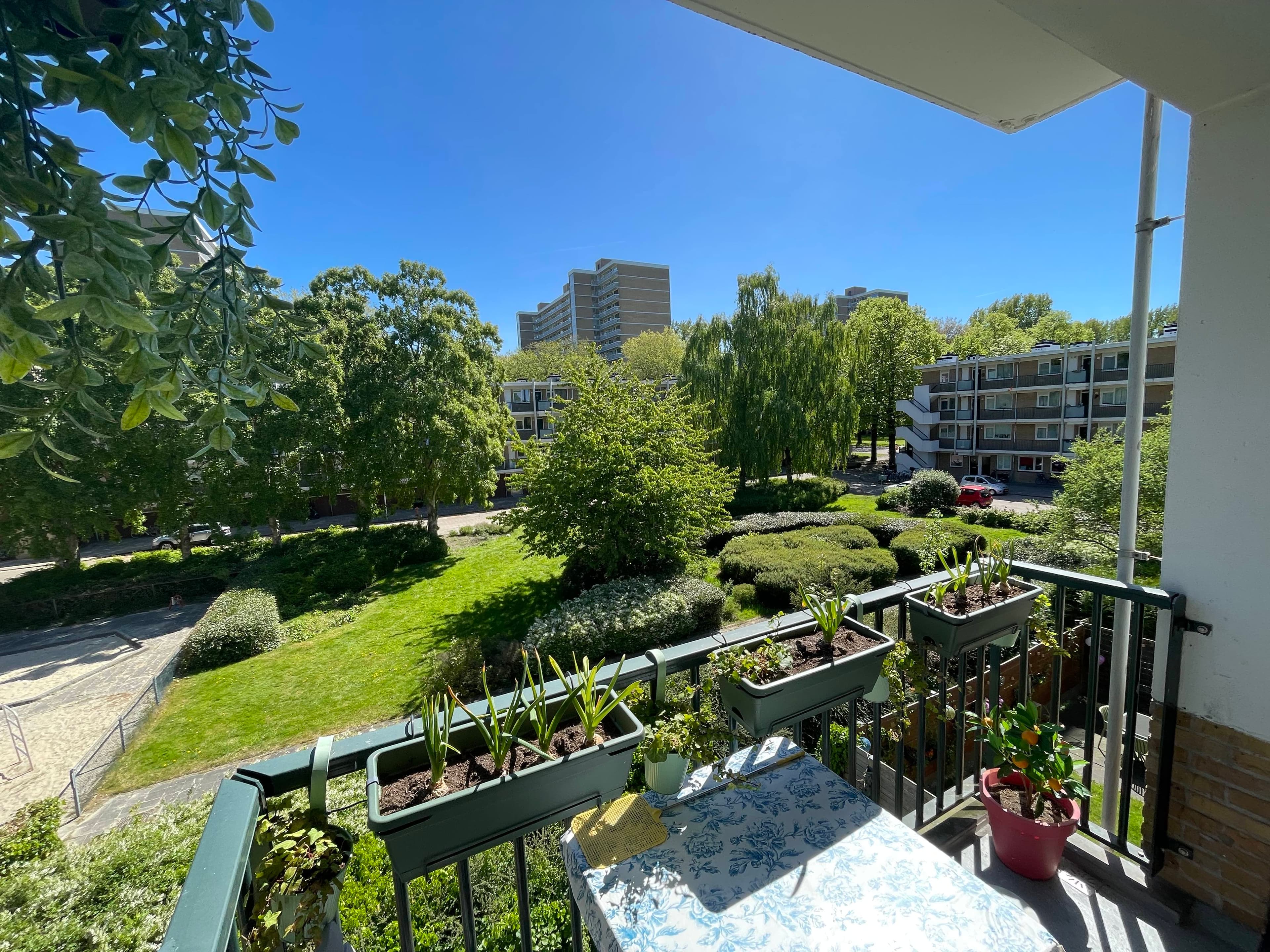 show all photos of Dikninge