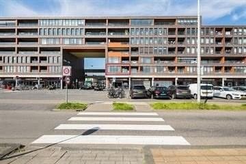 show all photos of Pieter Calandlaan
