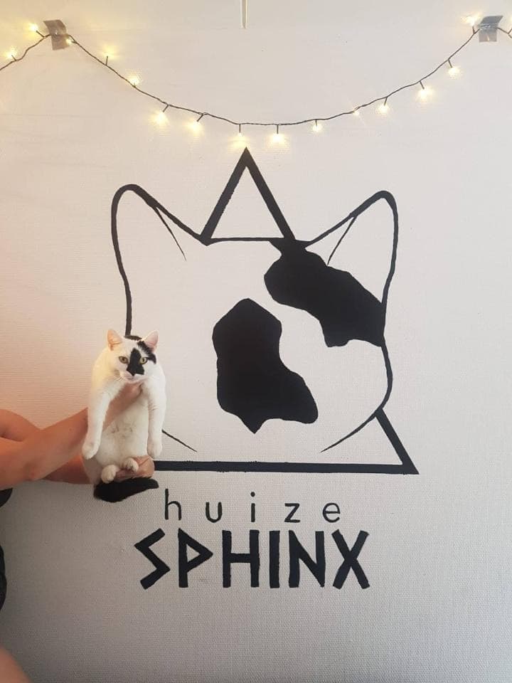 show all photos of Witbreuksweg