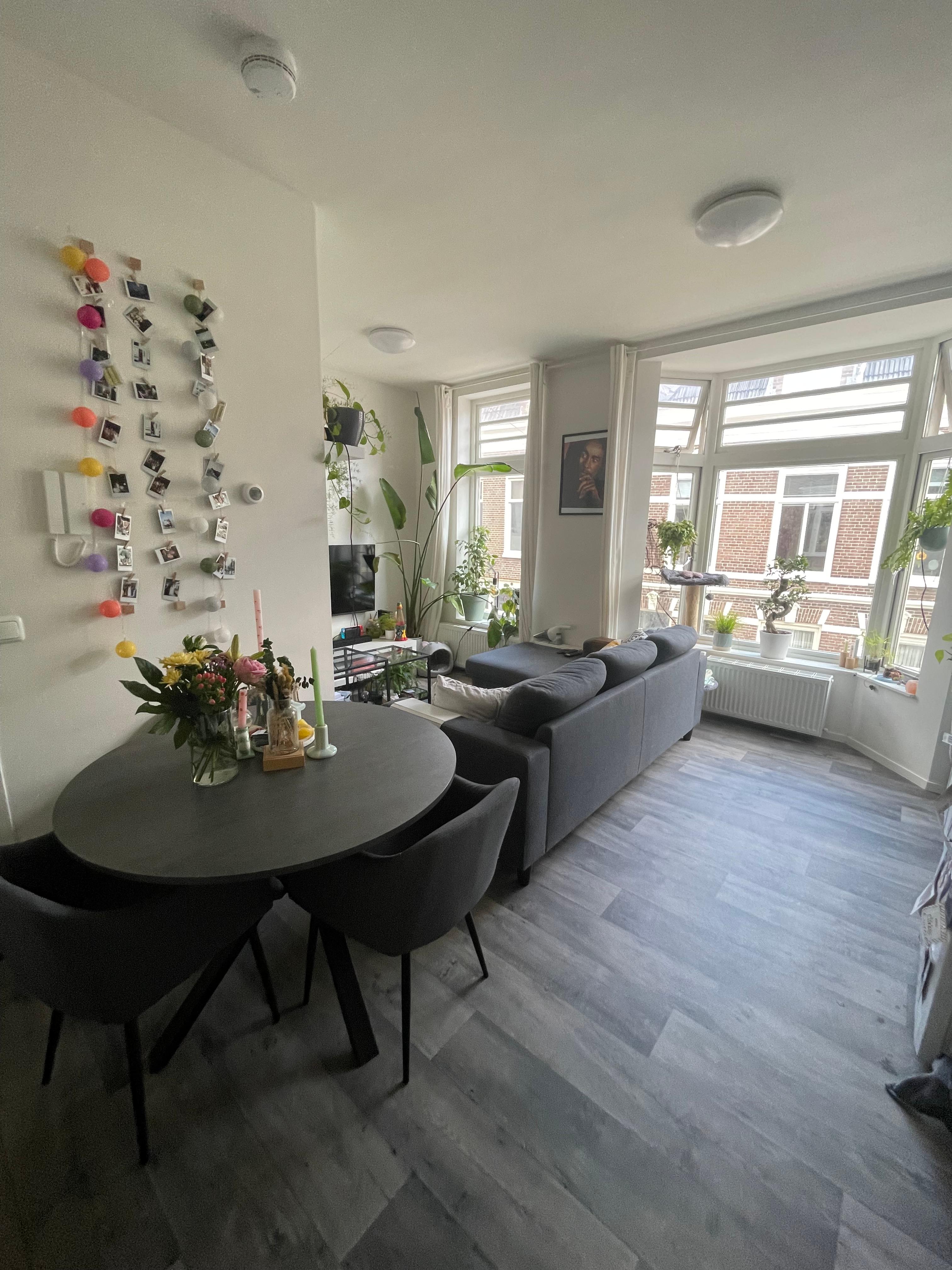 show all photos of Kleine Steentilstraat