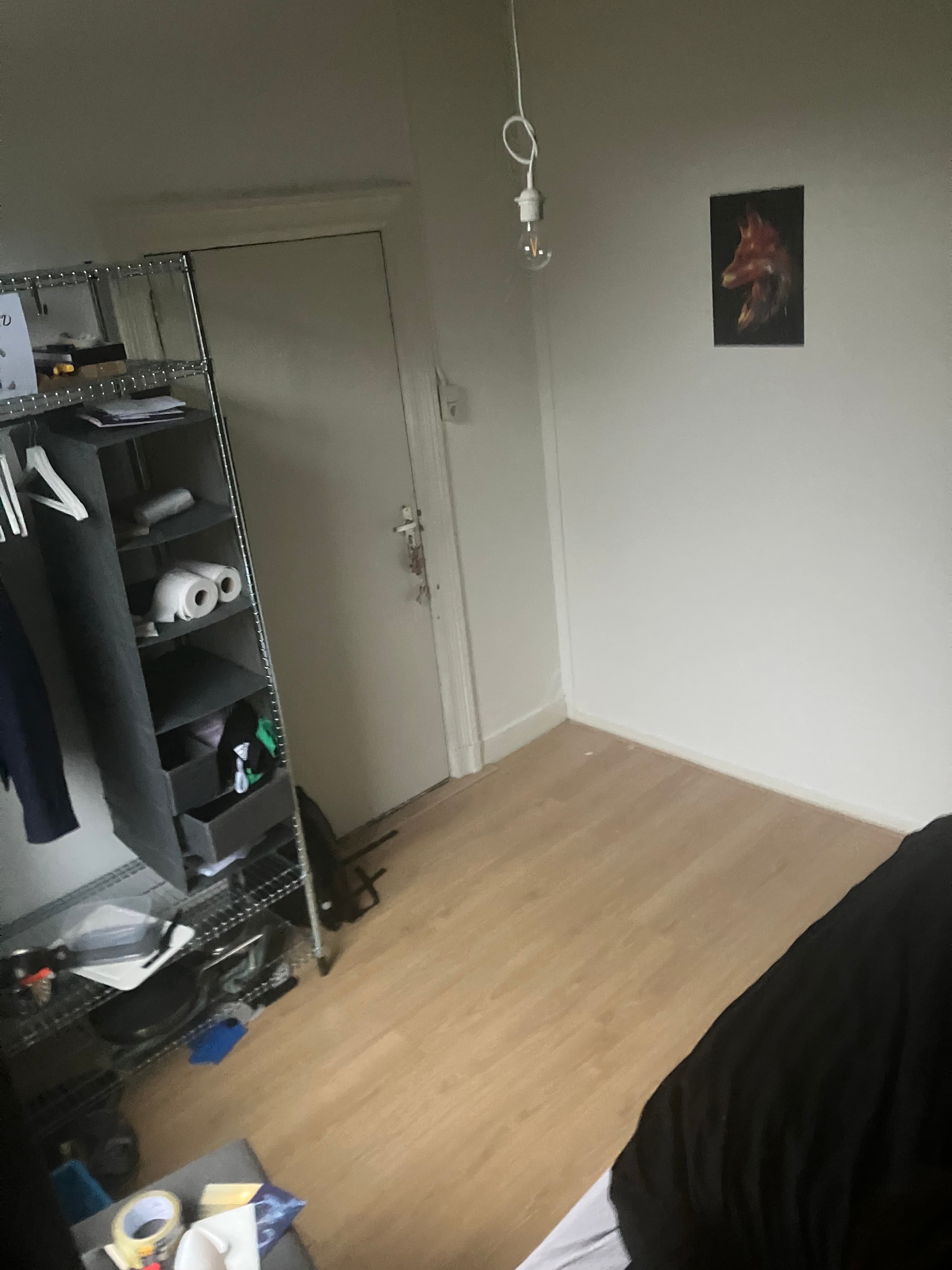 show all photos of Rietmolenstraat