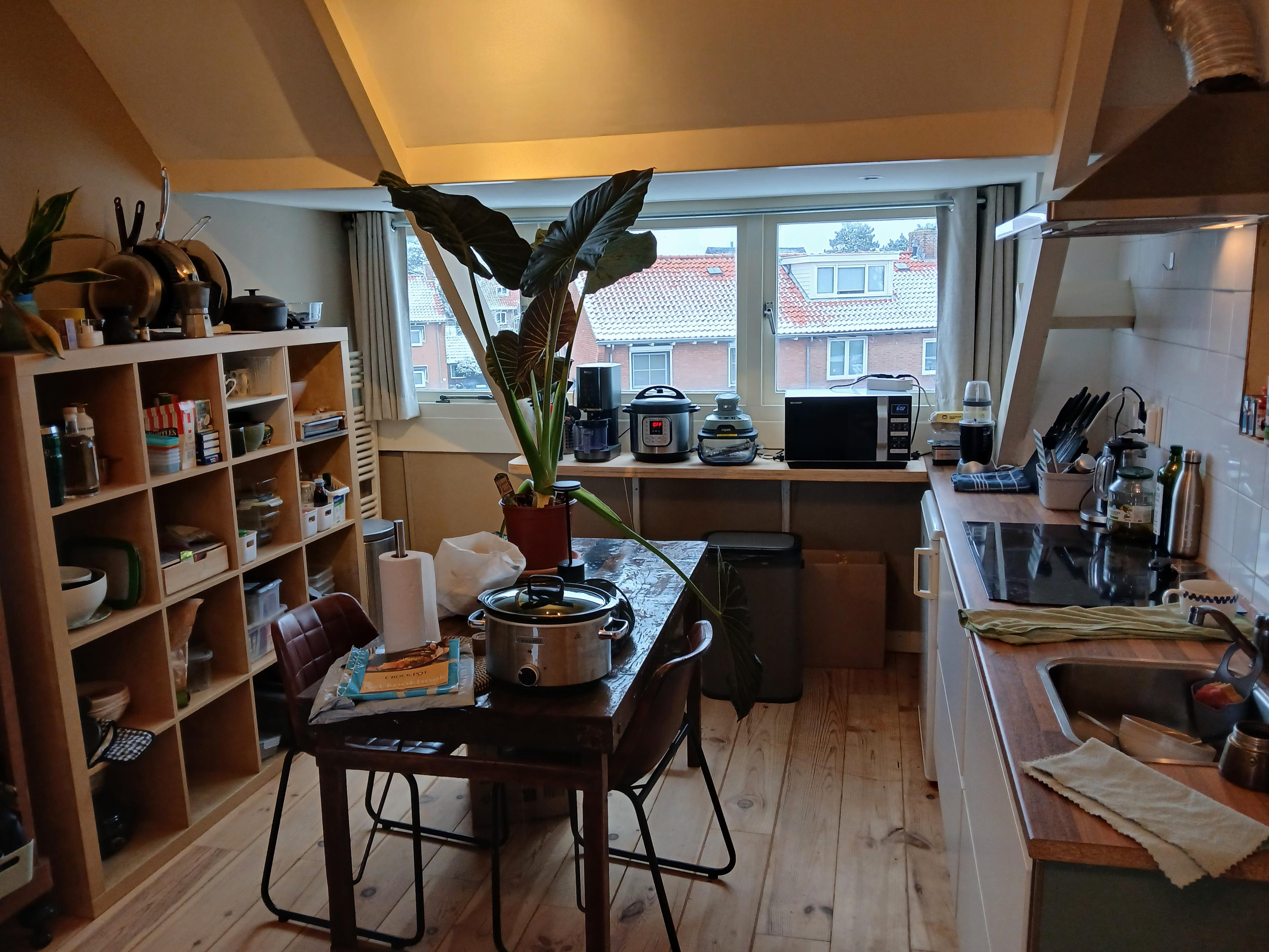 show all photos of Wilhelminaweg