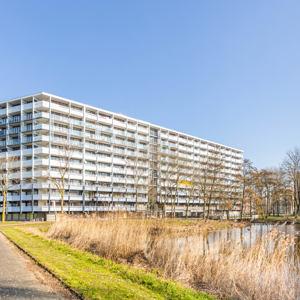 show all photos of Geldershoofd