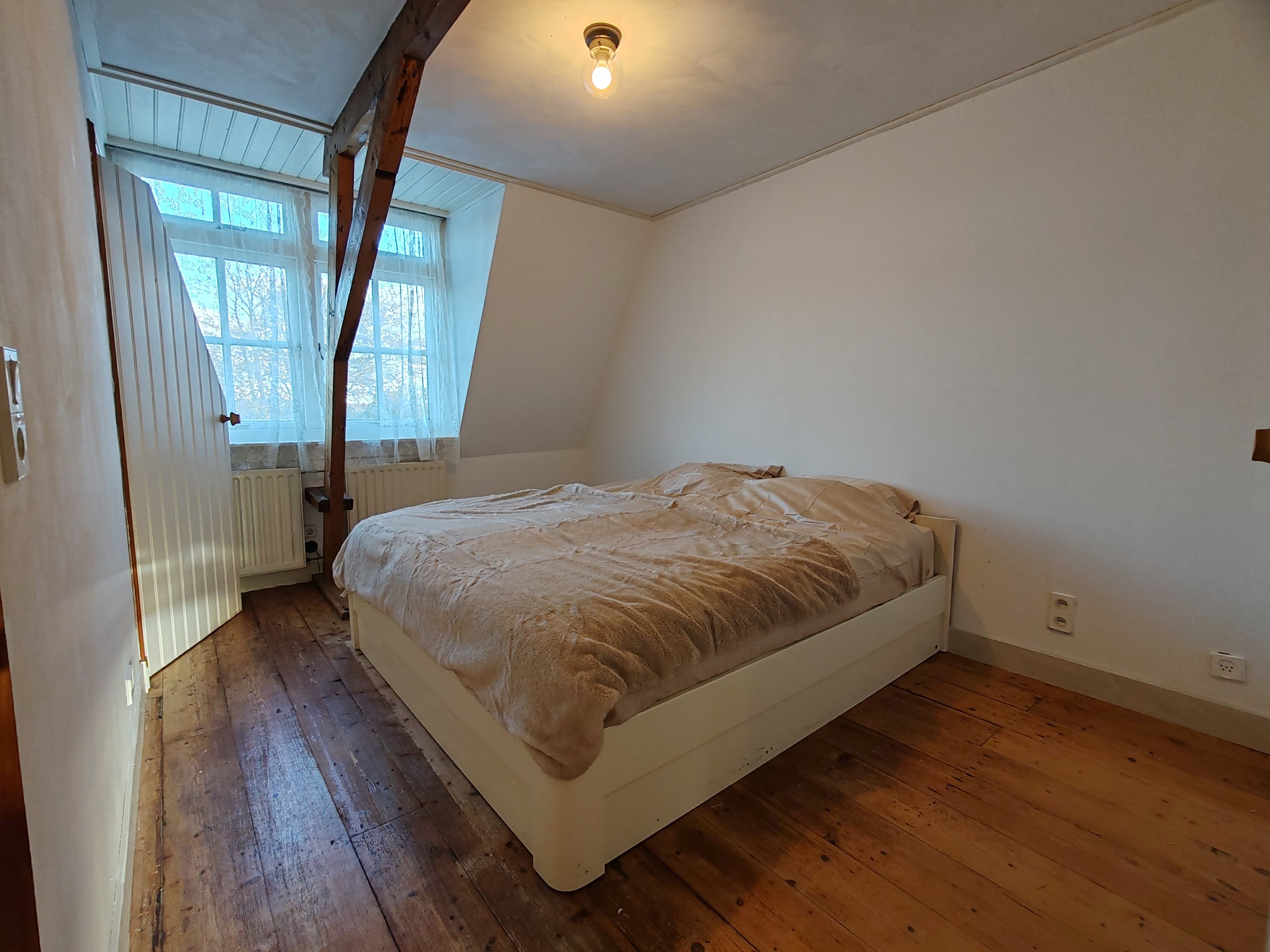 show all photos of Hillegommerdijk