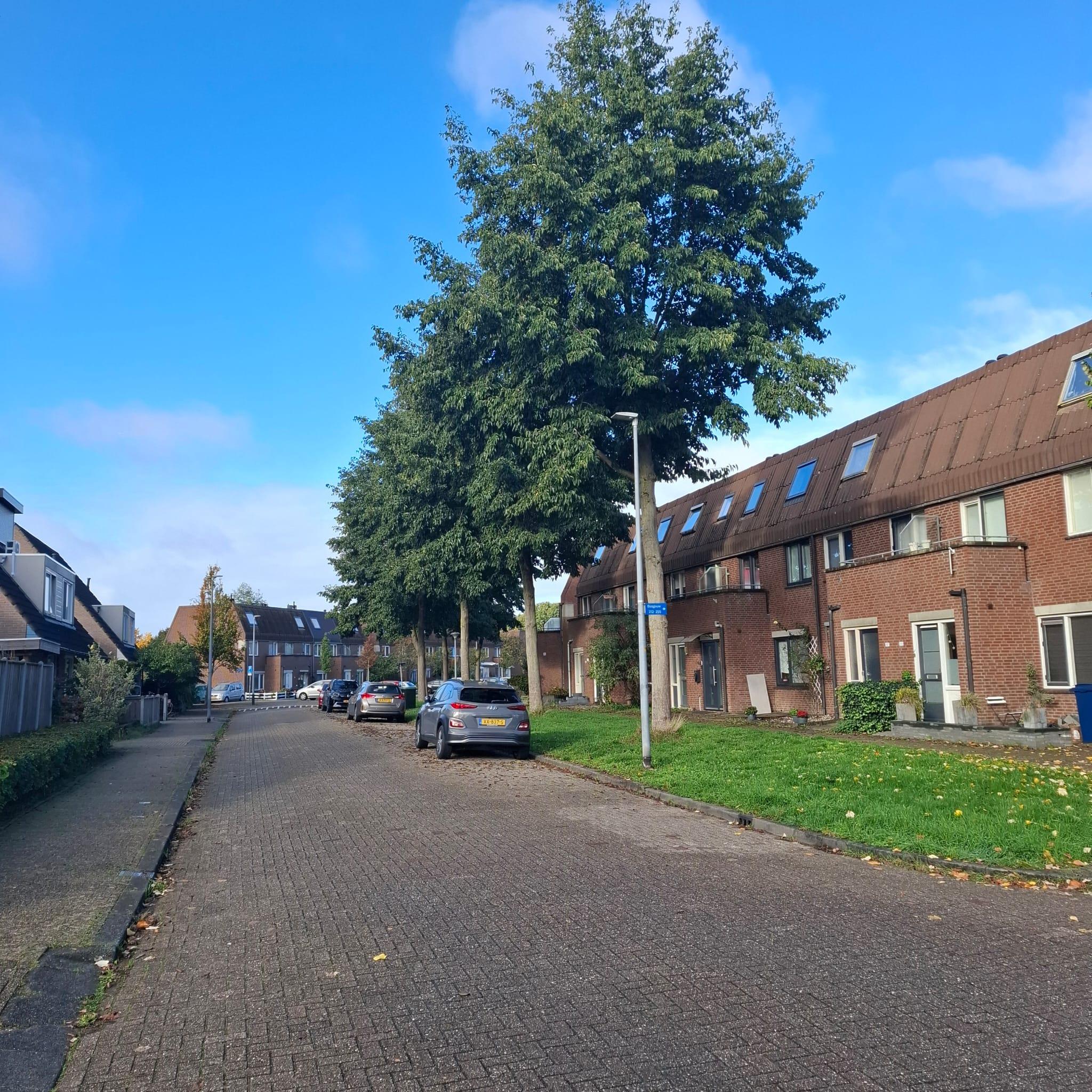 show all photos of Bosgouw