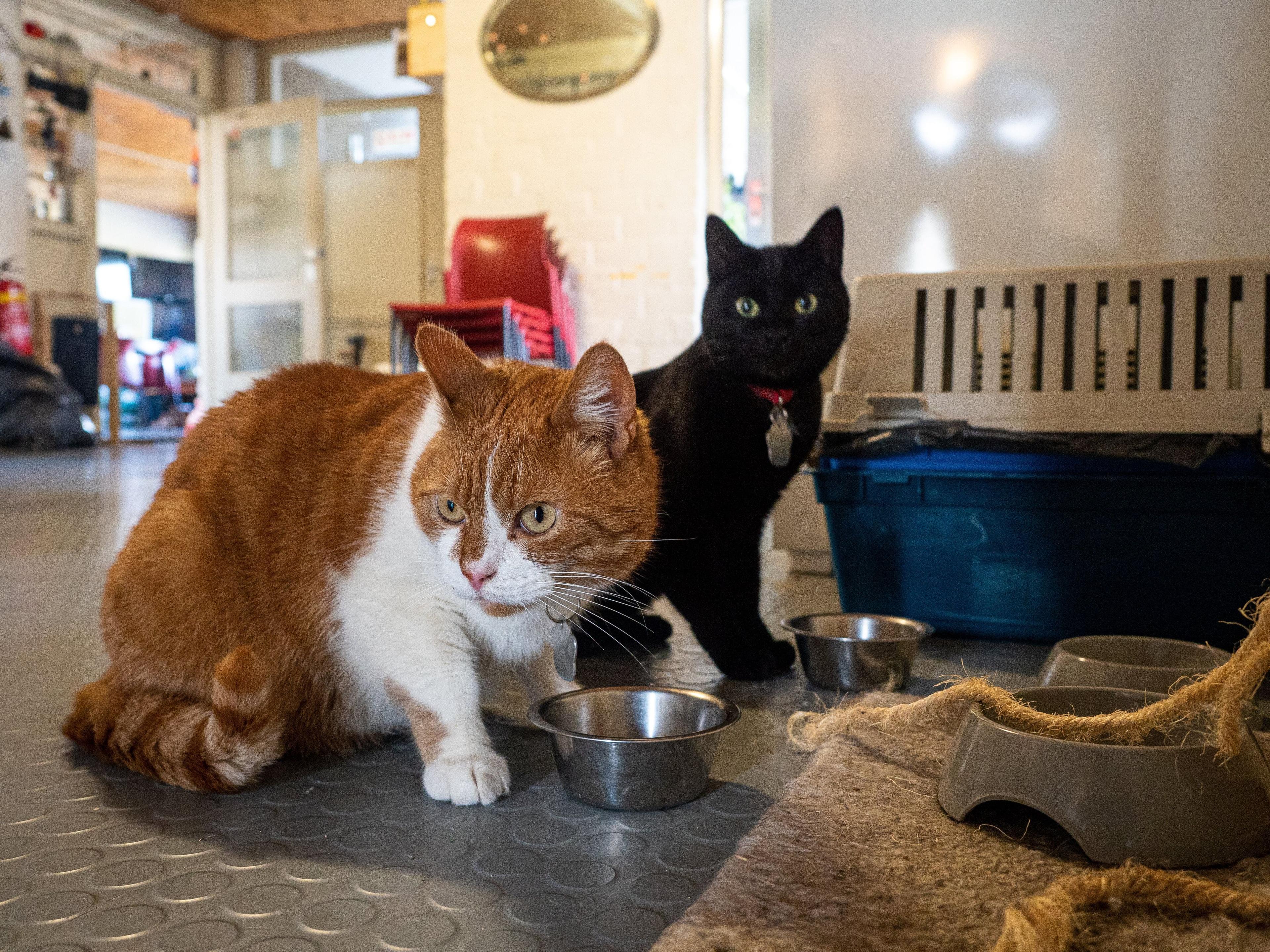 show all photos of Calslaan