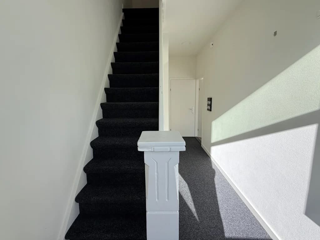 show all photos of Cornelis Frederiksstraat