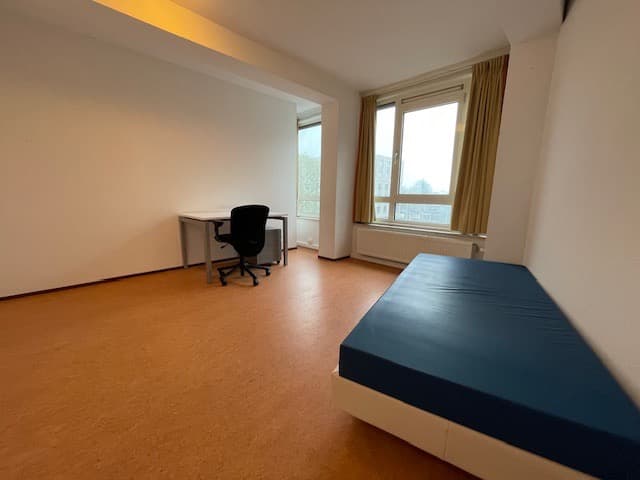 show all photos of Stadsbrink