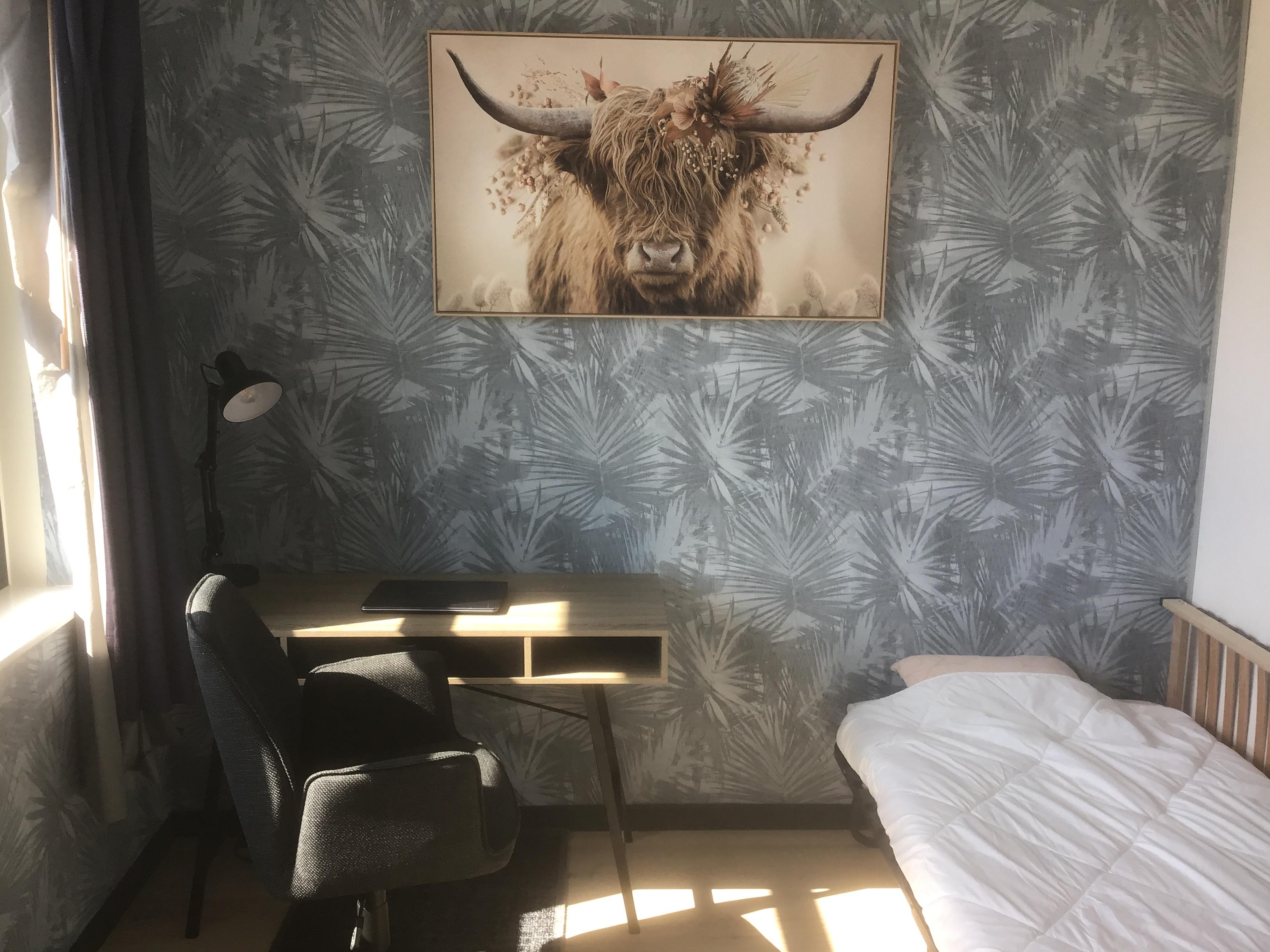 show all photos of Industriestraat