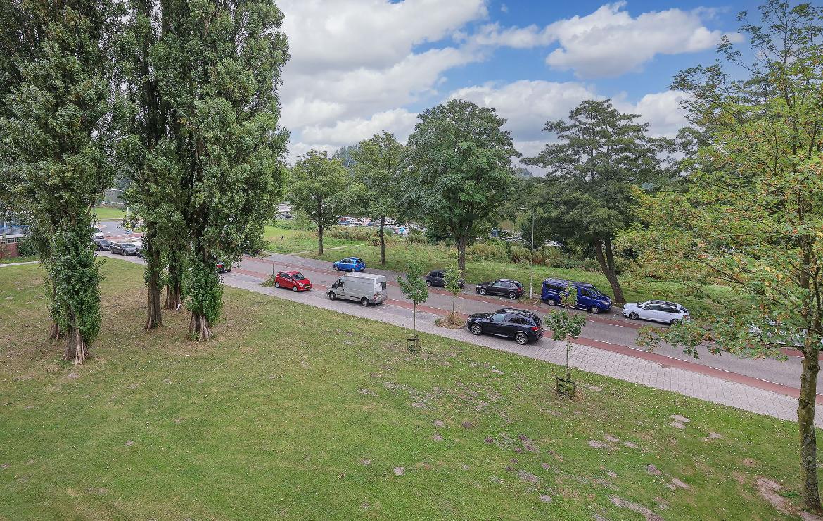 show all photos of Zuidervaart