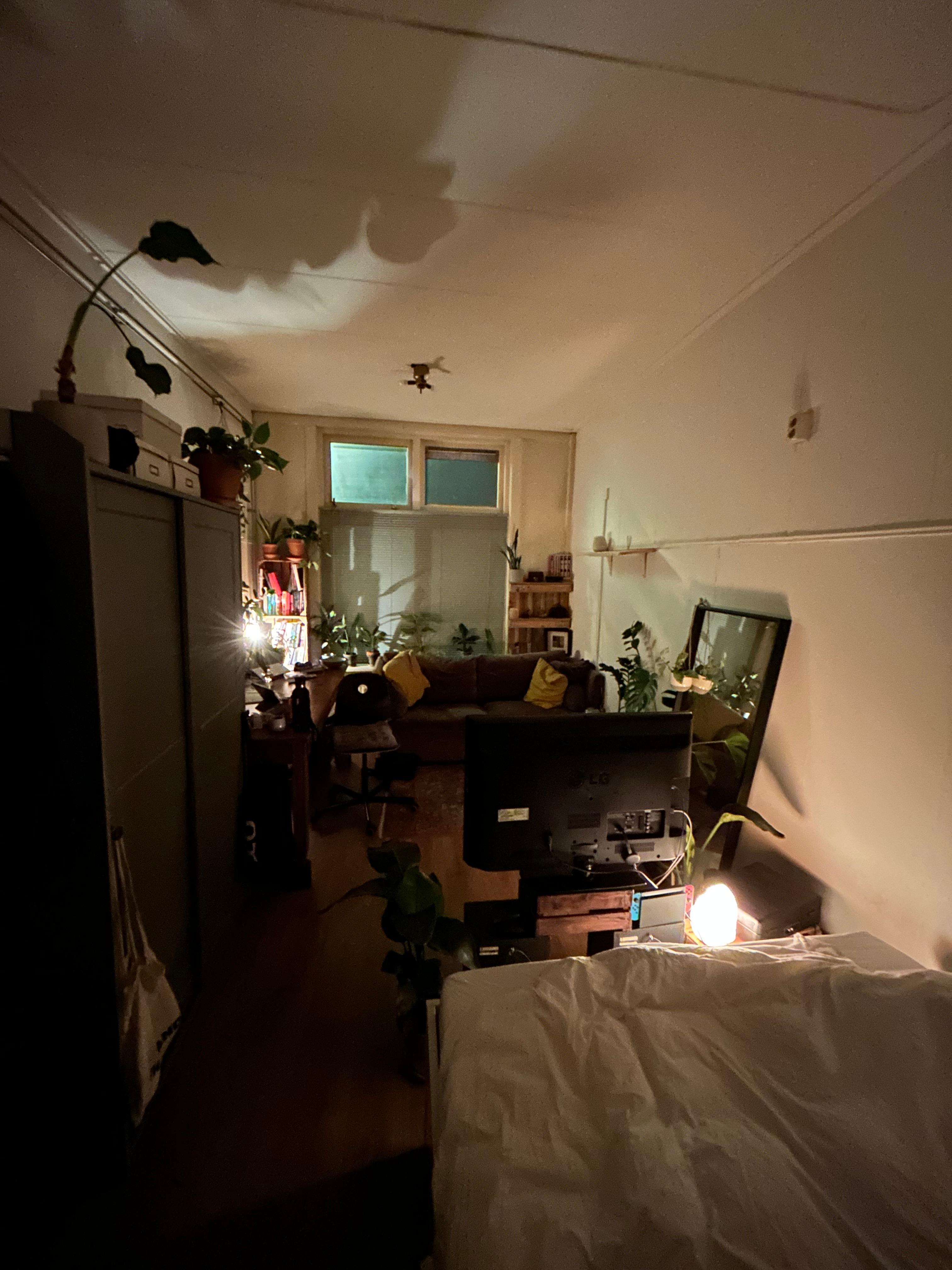 show all photos of Coornhertstraat