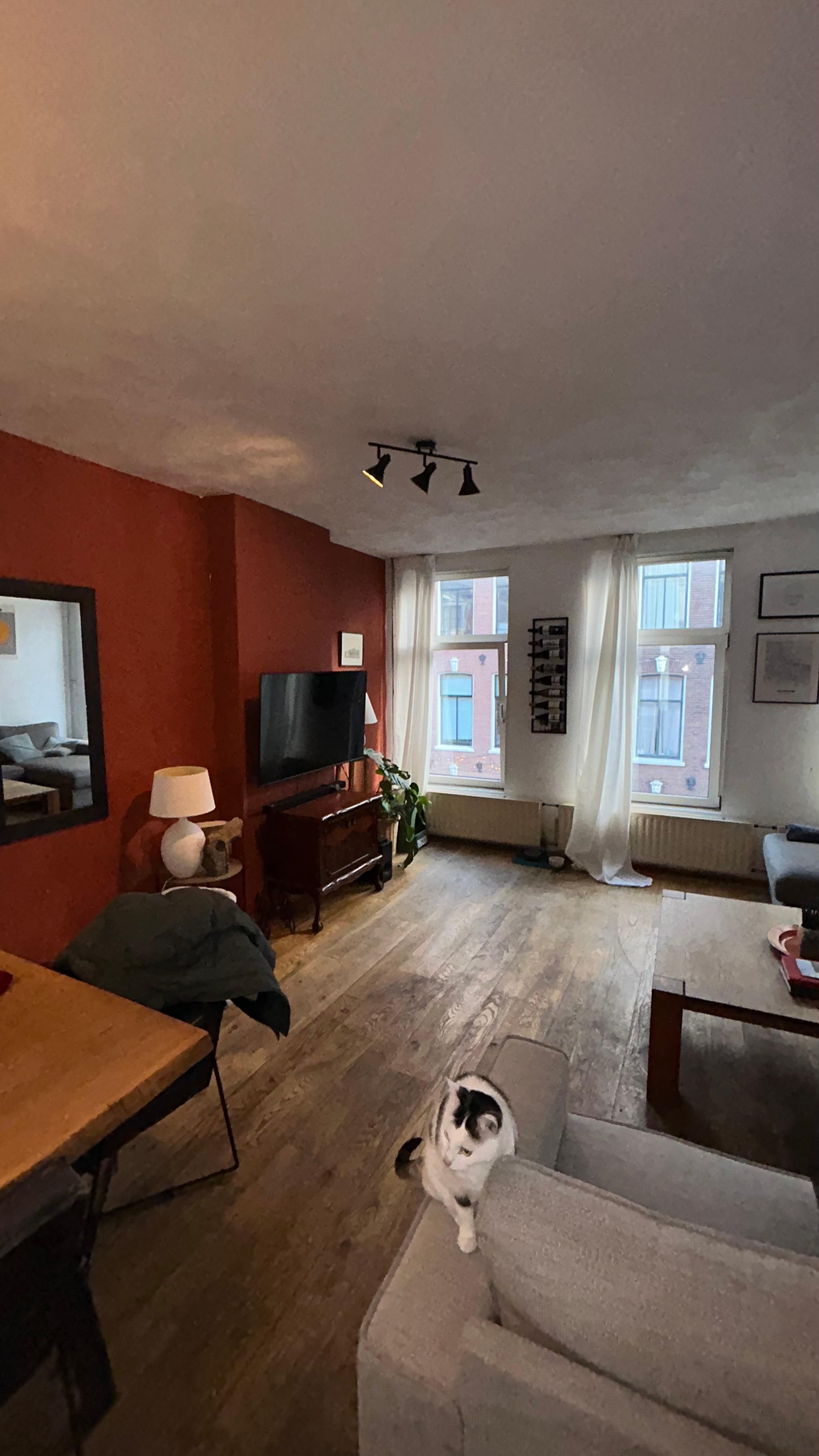 show all photos of Govert Flinckstraat