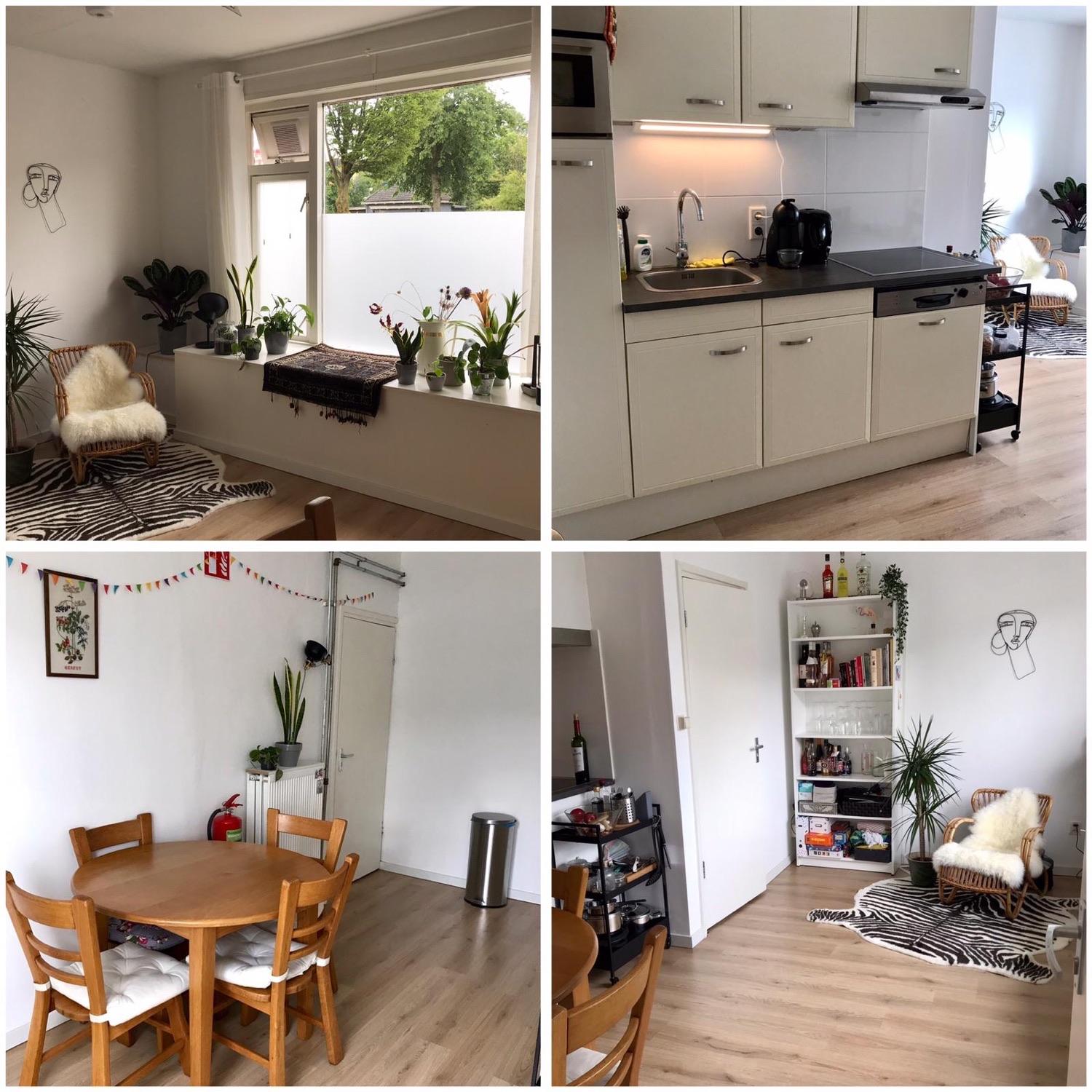 show all photos of Eerste Oude Heselaan