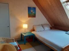 show all photos of Noorderdiep