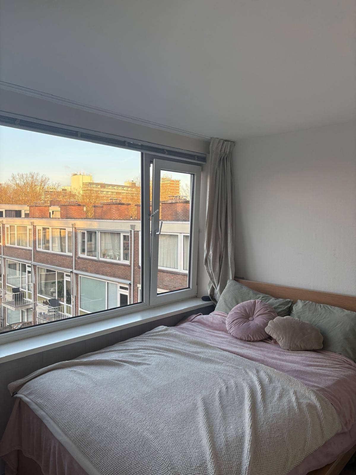 show all photos of Hollandseweg