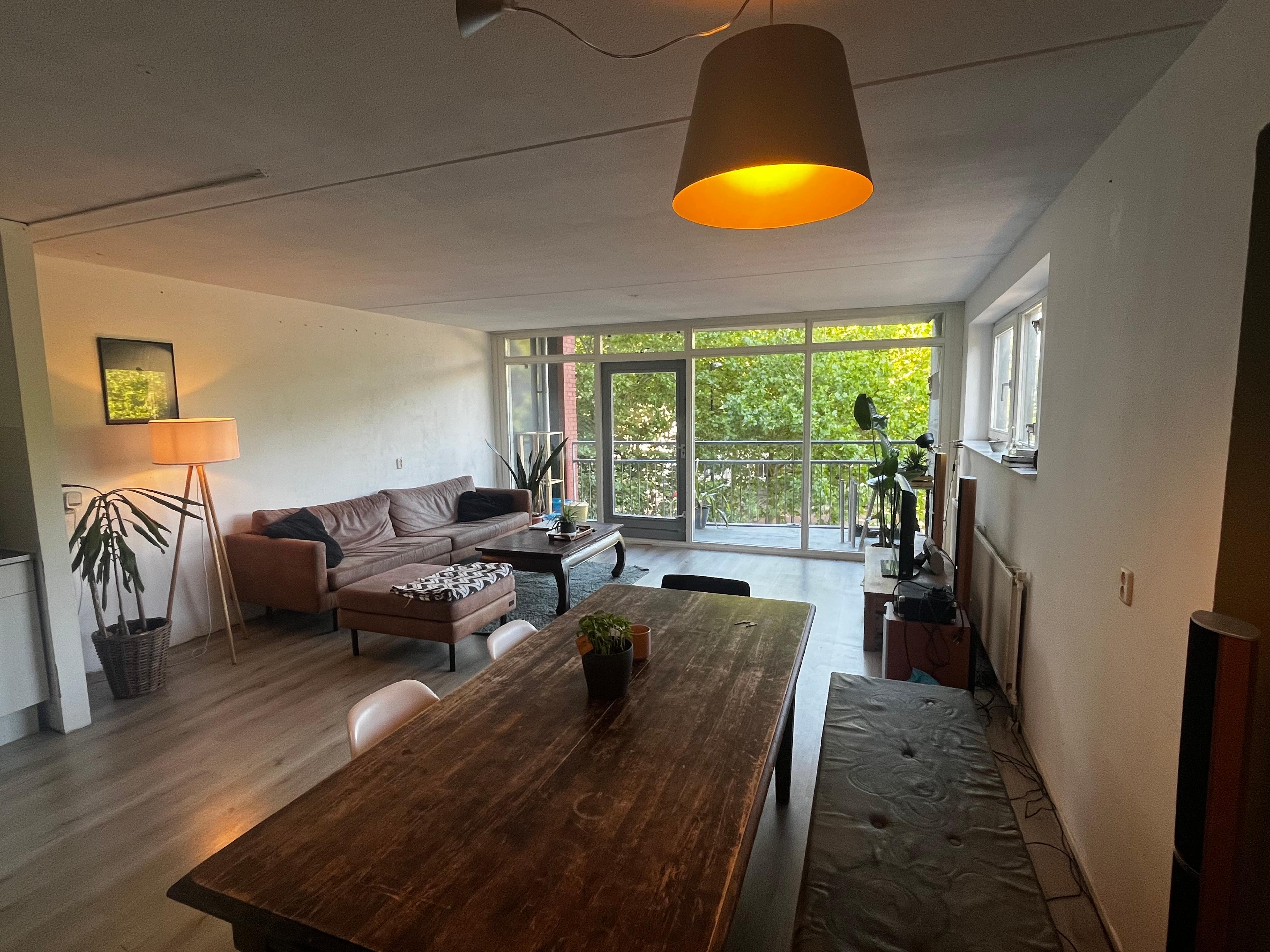 show all photos of Borneolaan